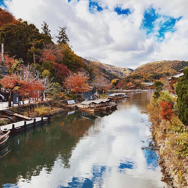 Arashiyama is beautiful in the fall! 🍁🍂❤️🇯🇵