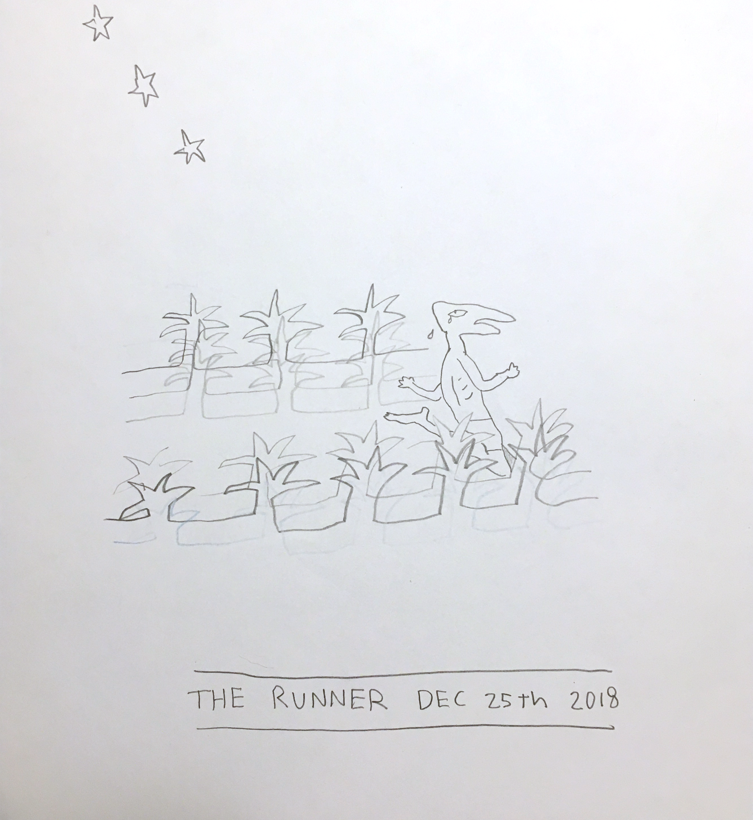 the runner.png