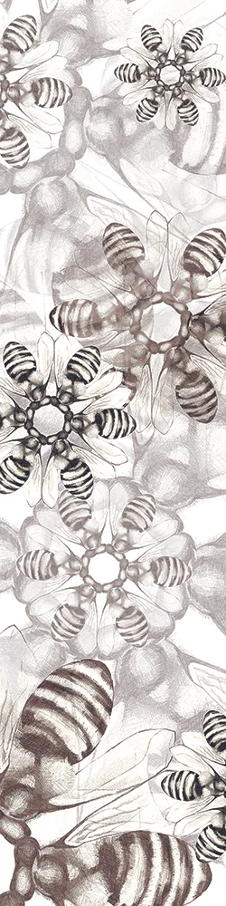 Taste This Minute (floral super frame) Digitally manipulated graphite drawing 2009