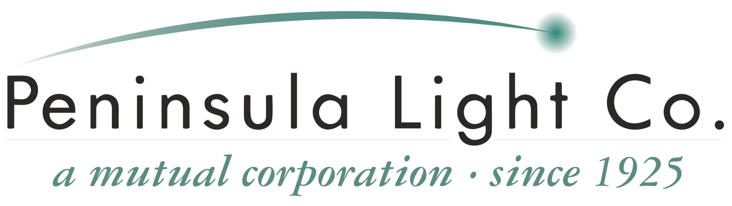 pen light logo.png