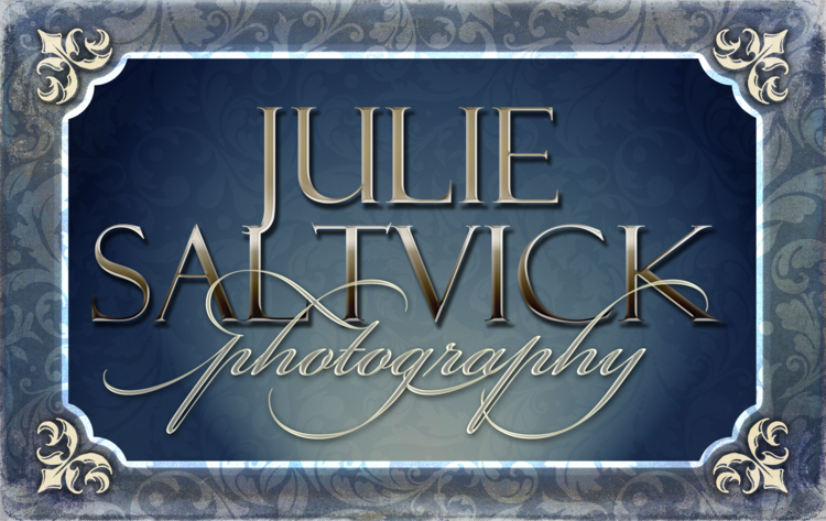 JulieSaltvickLOGO.png