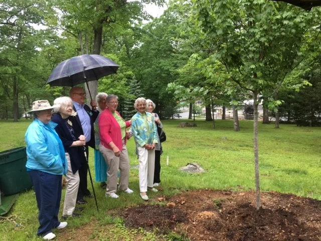 4th Annual Tree-mendous Day