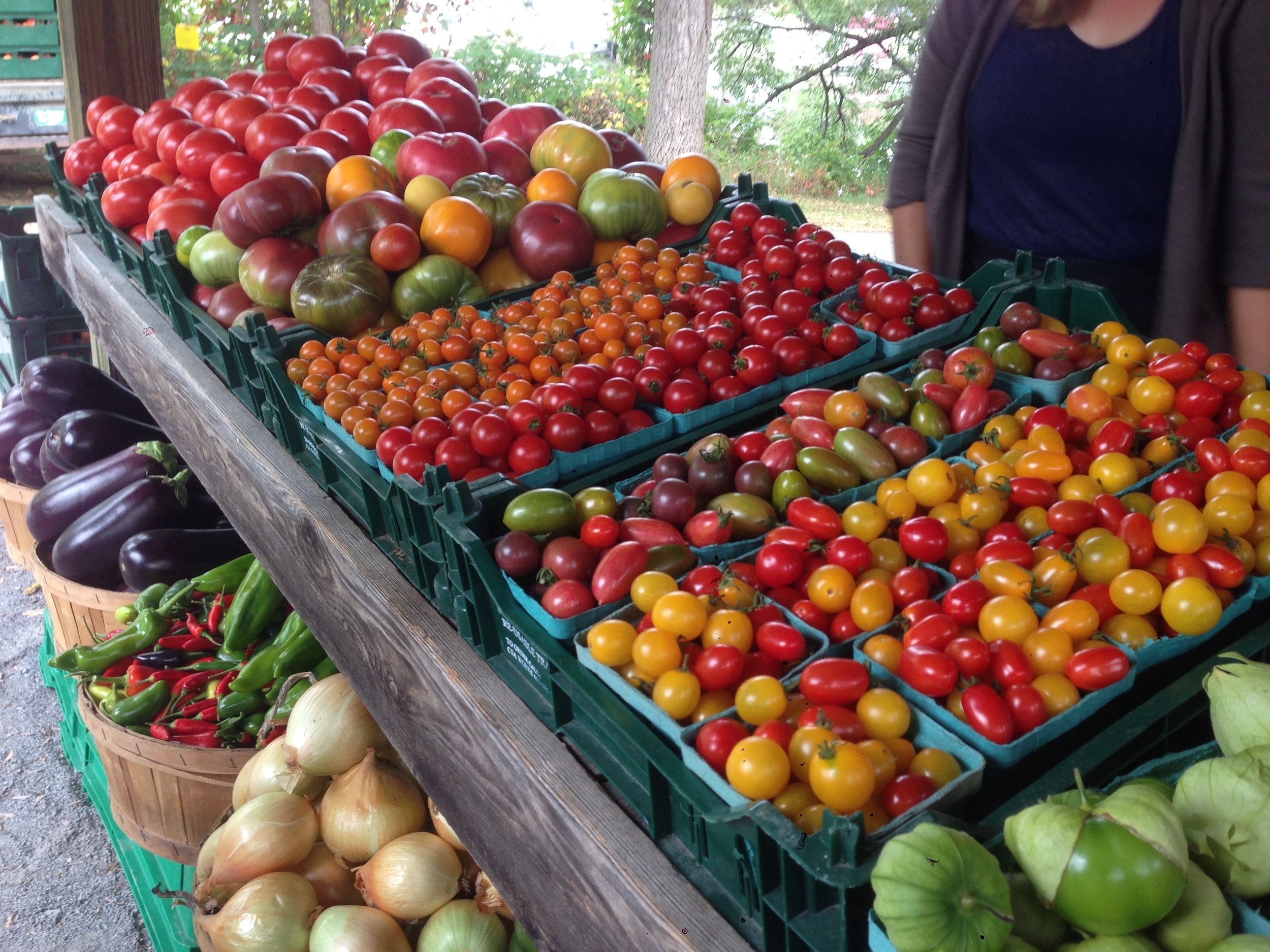 Tomato Display.jpg