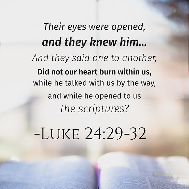 Last Sunday&rsquo;s Gospel was the story of &ldquo;The Road to Emmaus&rdquo;. A story of how Jesus is walking with us and interested in our lives, the joys and the suffering, even when we don&rsquo;t recognize him or see him there. Looking for someth