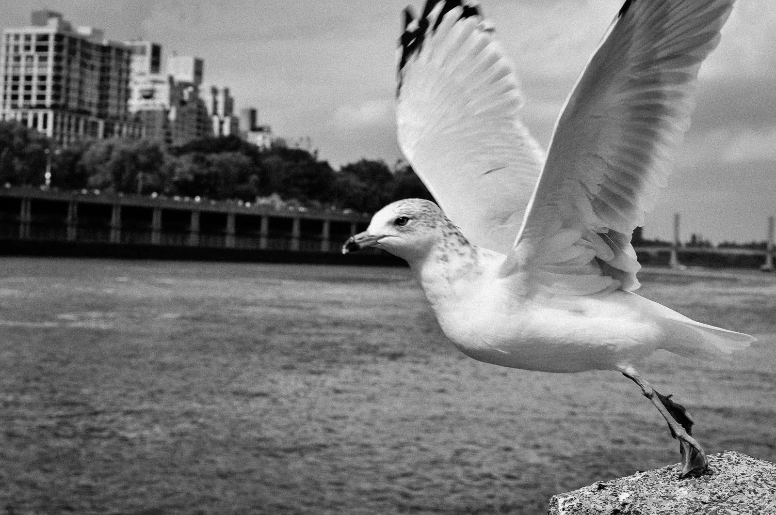 Blog_Portfolio_0024.jpg