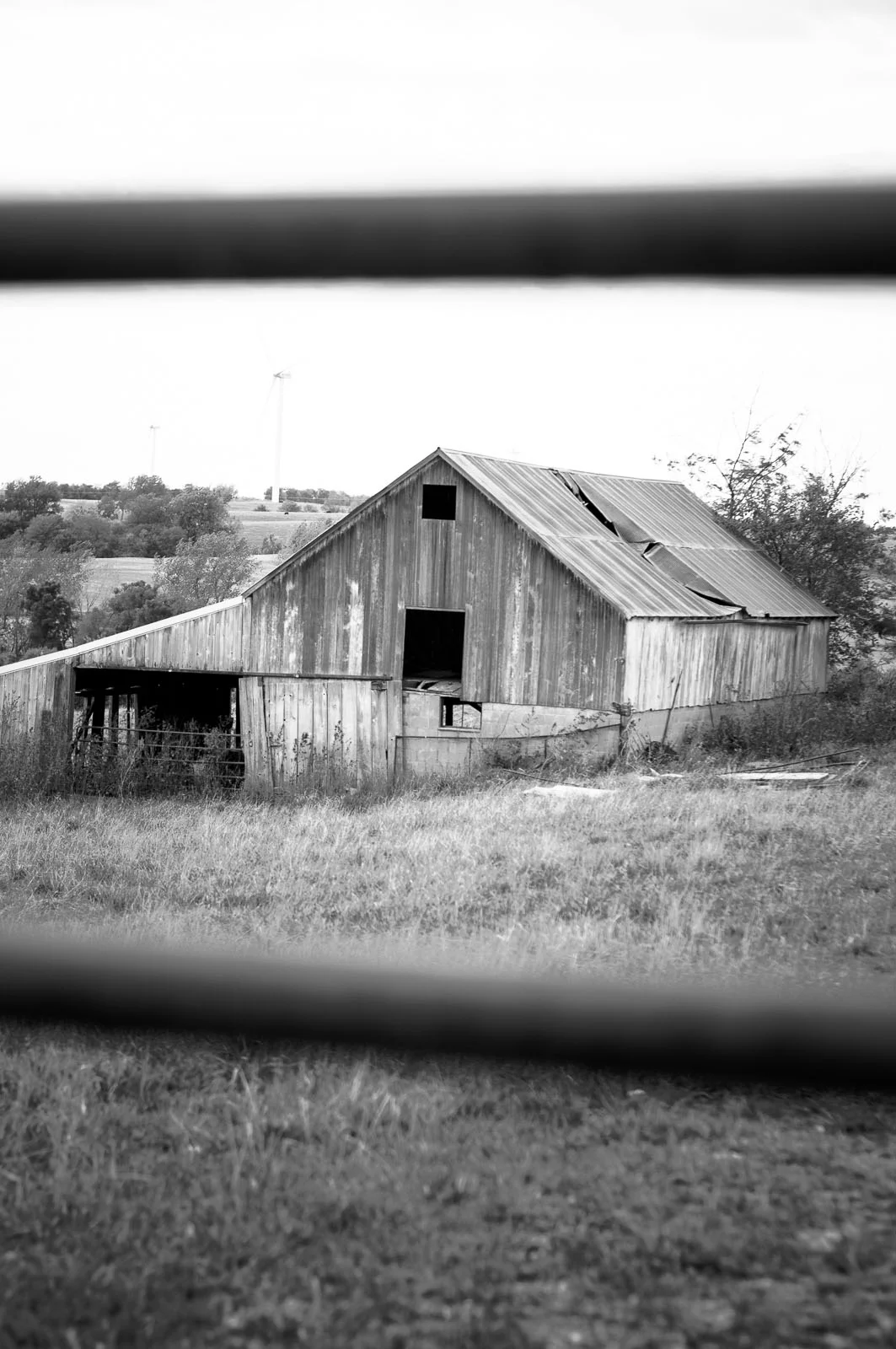 Blog_Portfolio_0030.jpg