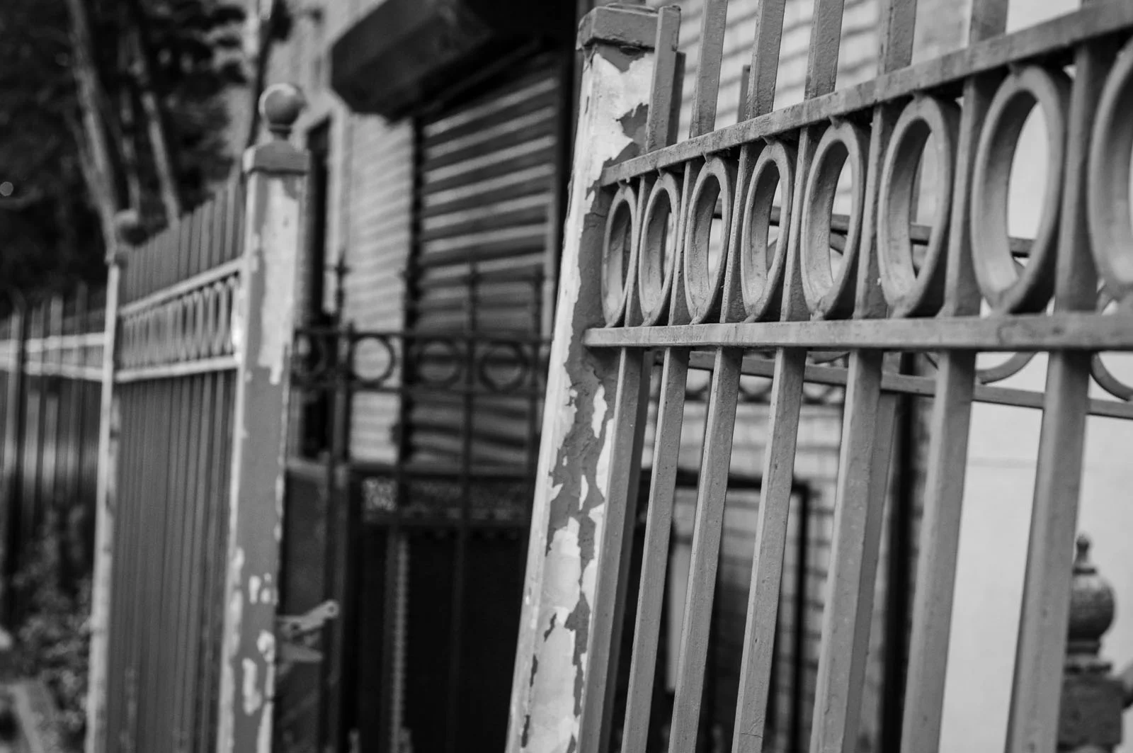 Blog_Portfolio_0031.jpg