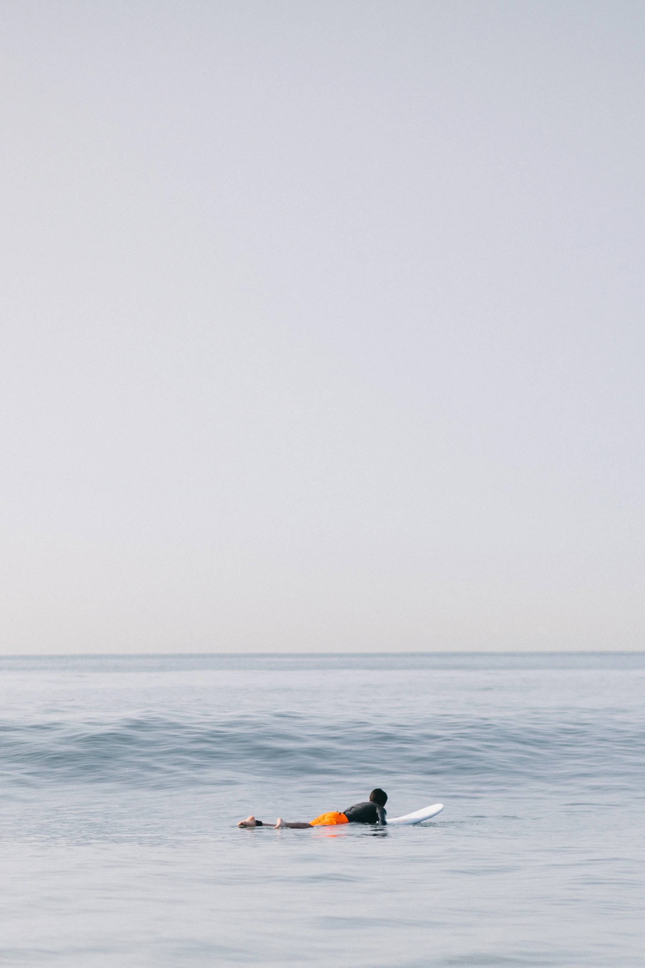 Portfolio-vibrant-0023.JPG