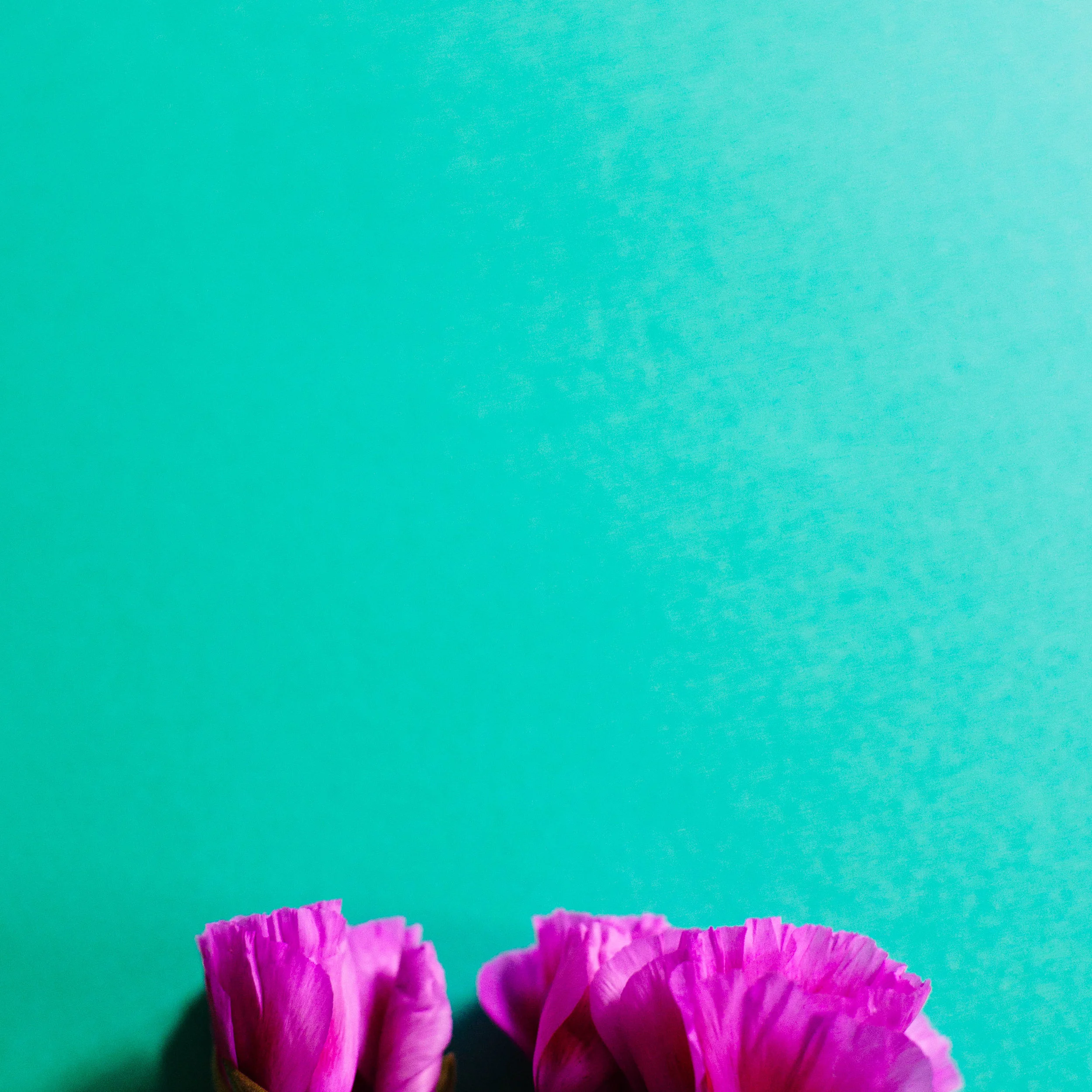 Portfolio-vibrant-0081.JPG