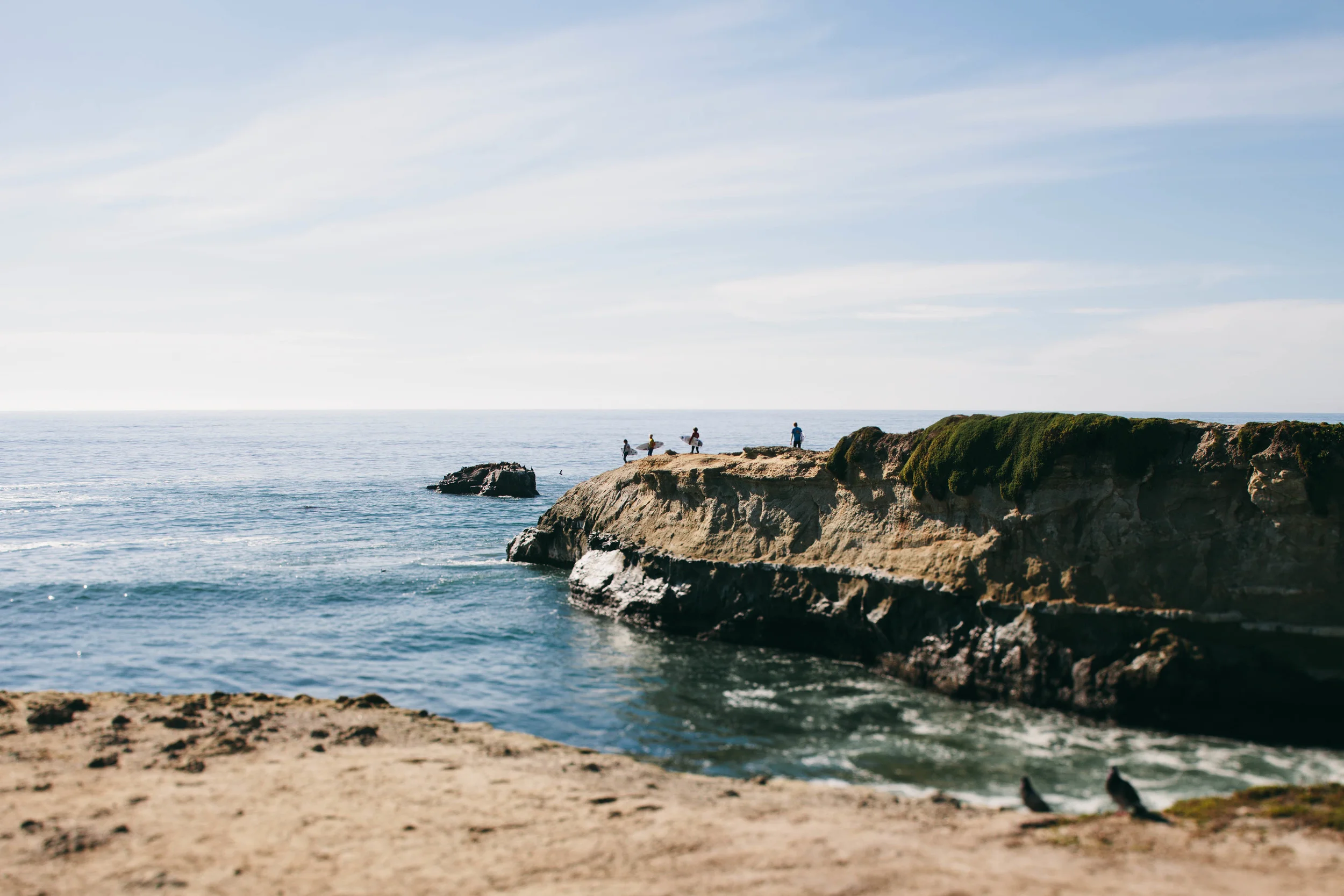 Portfolio-vibrant-0109.JPG