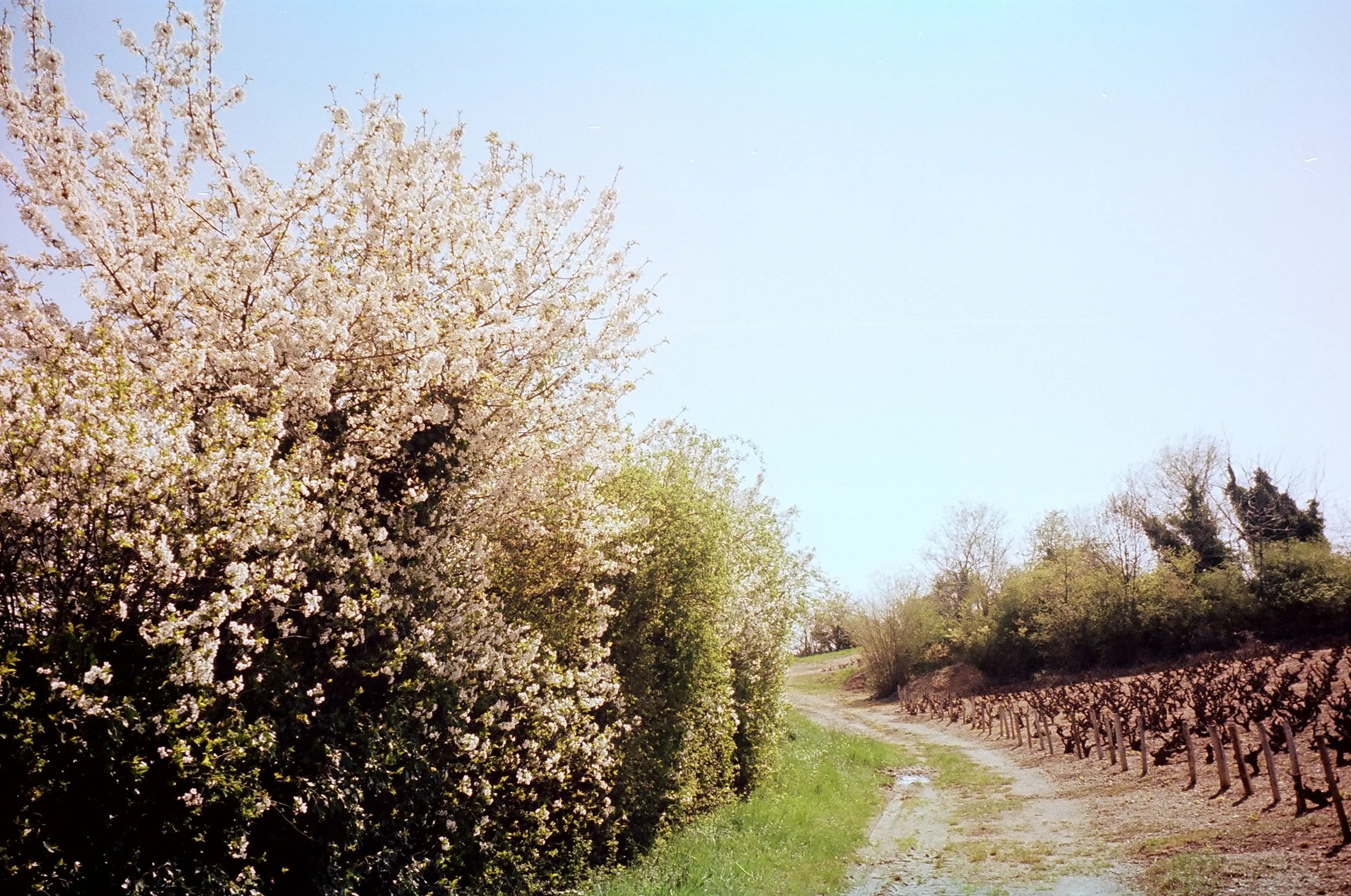Portfolio-faded-0021.JPG