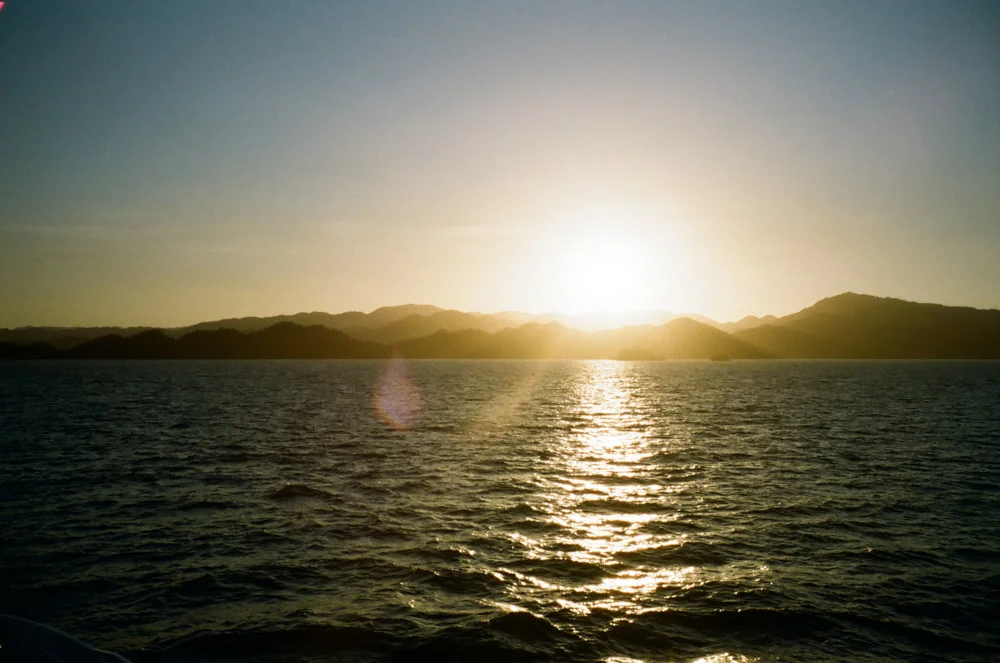 Portfolio-faded-0133.JPG