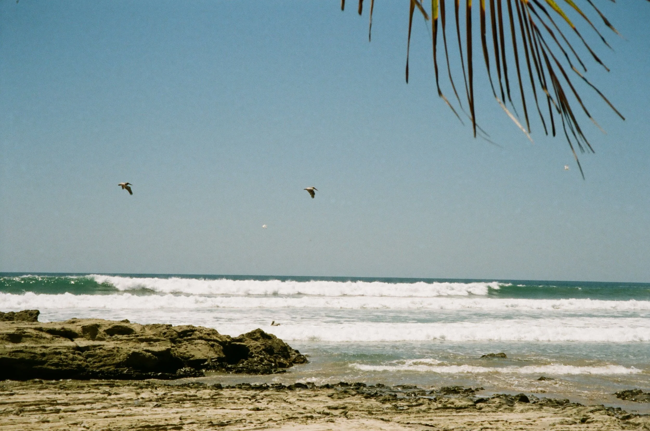 Portfolio-faded-0186.JPG