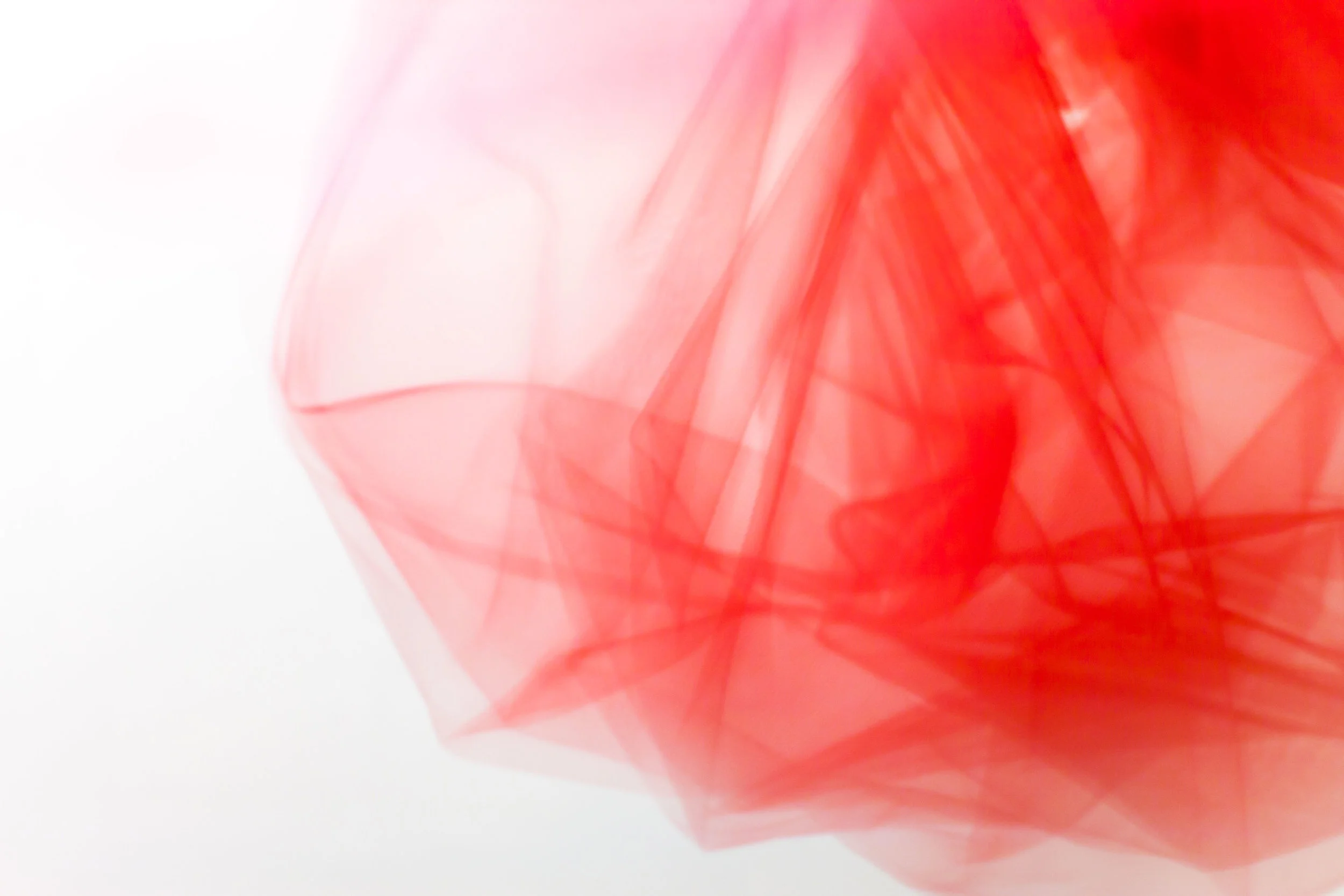 Portfolio-red-0010.JPG