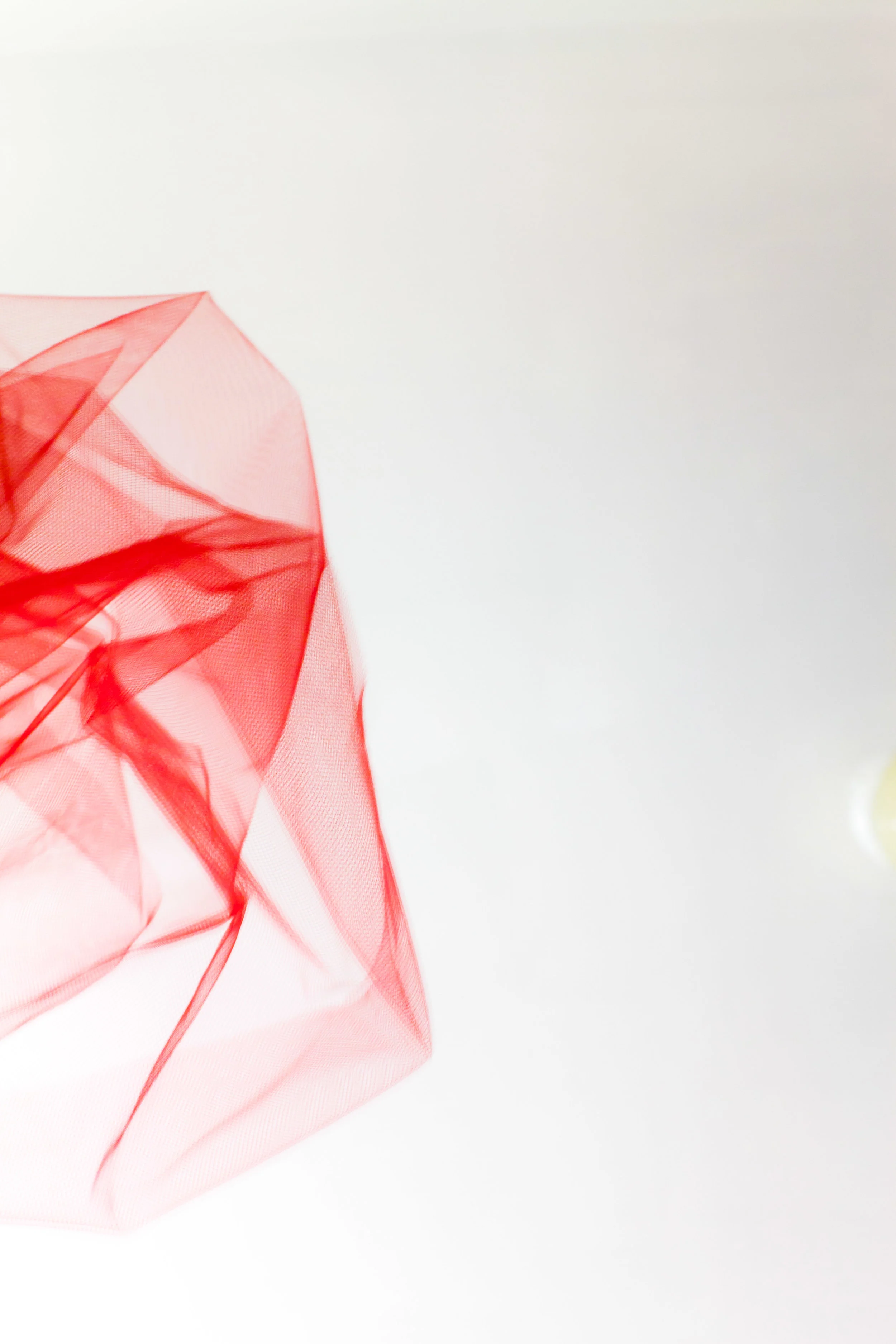 Portfolio-red-0058.JPG