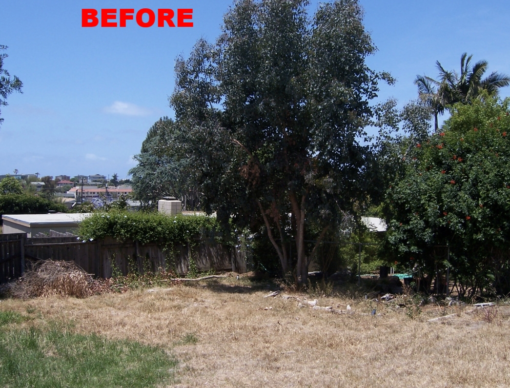 Backyard 2 Before.png