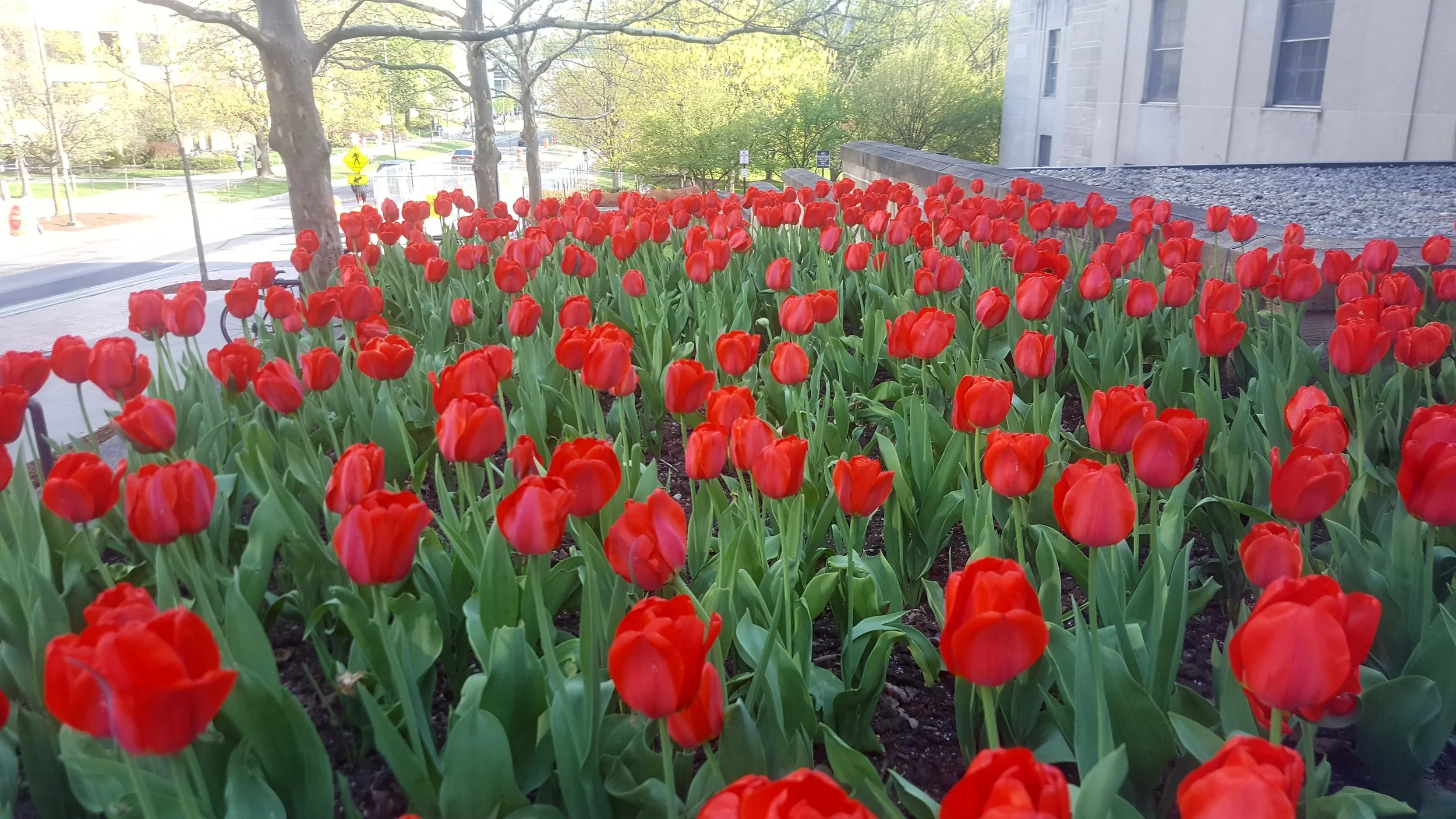 20180509_180101.jpg