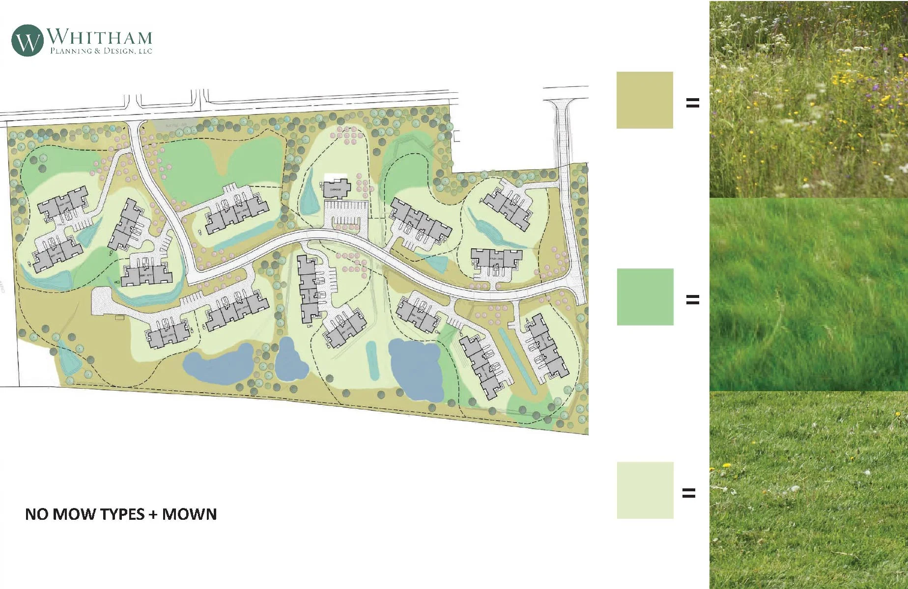 CayugaOrcahrds-Presentation1-wpd-sm 5-01.jpg