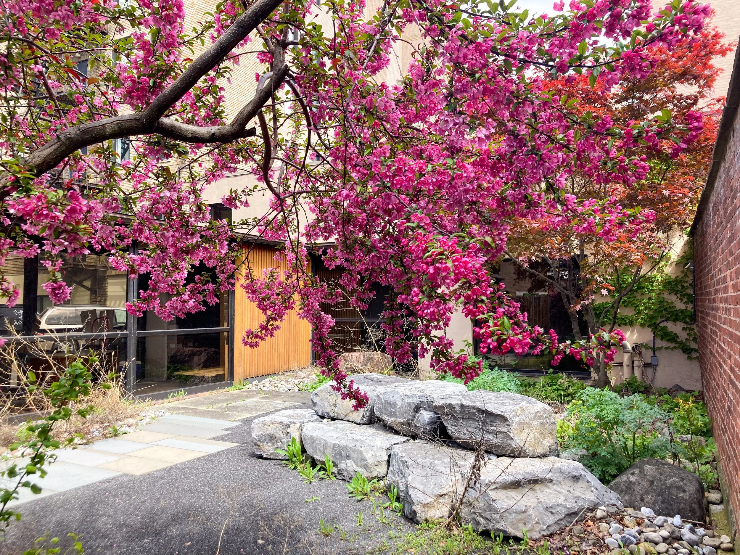 History Center Courtyard