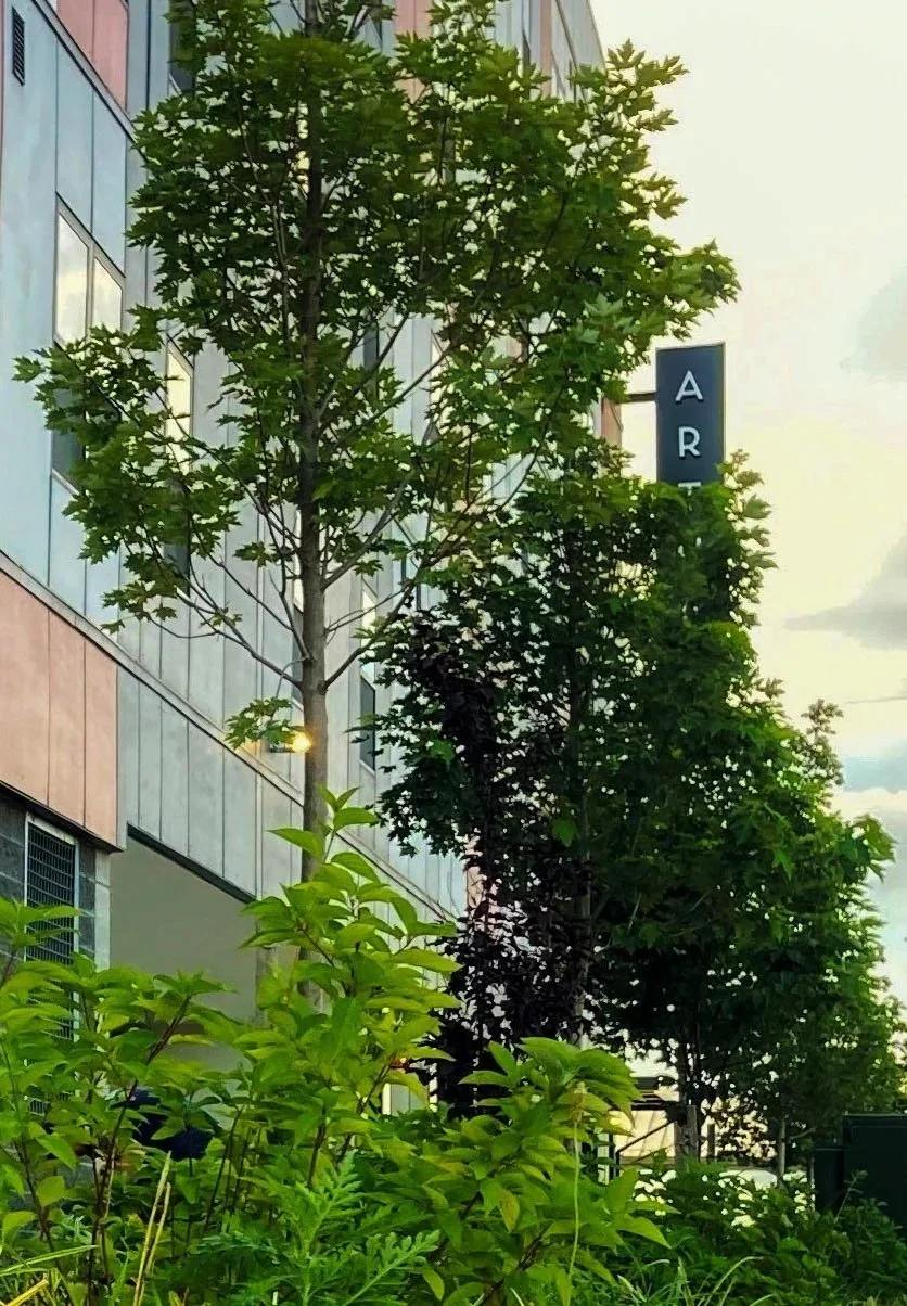 Cherry Street Affordable Housing