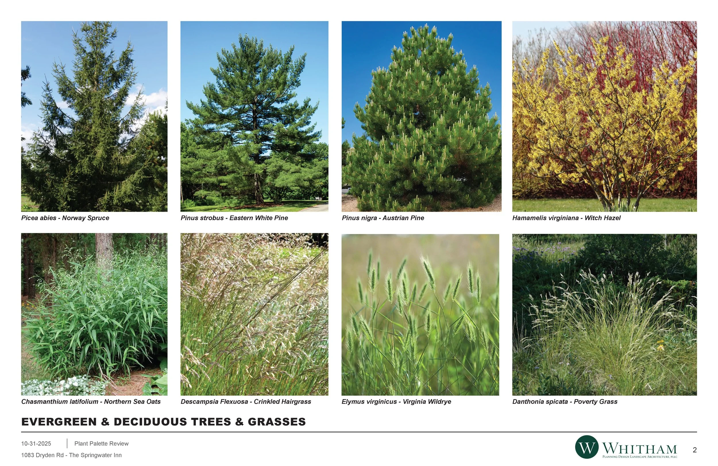 25-10-31 1083 Dryden Rd Planting Palette_Page_2.jpg