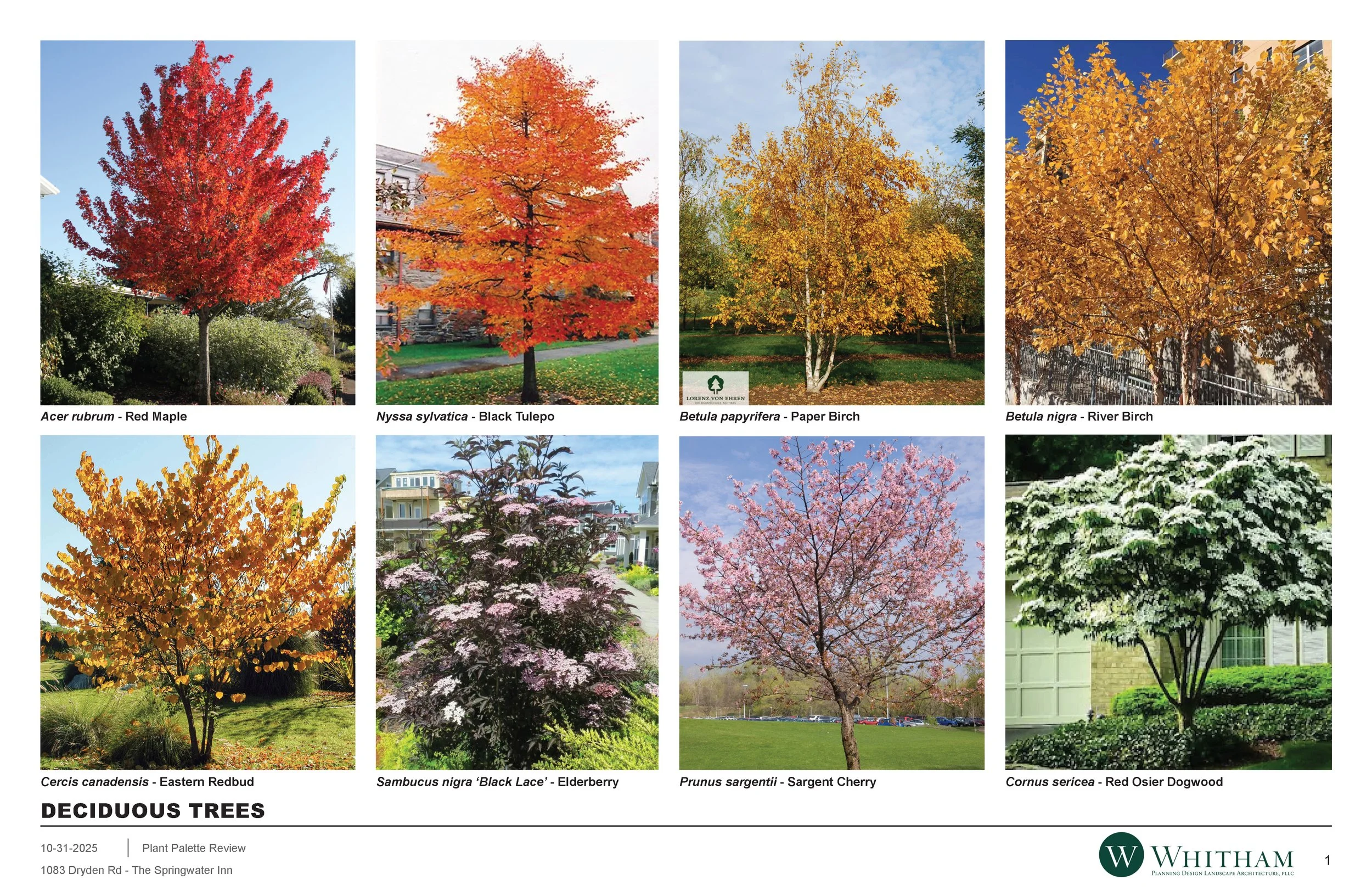 25-10-31 1083 Dryden Rd Planting Palette_Page_1.jpg