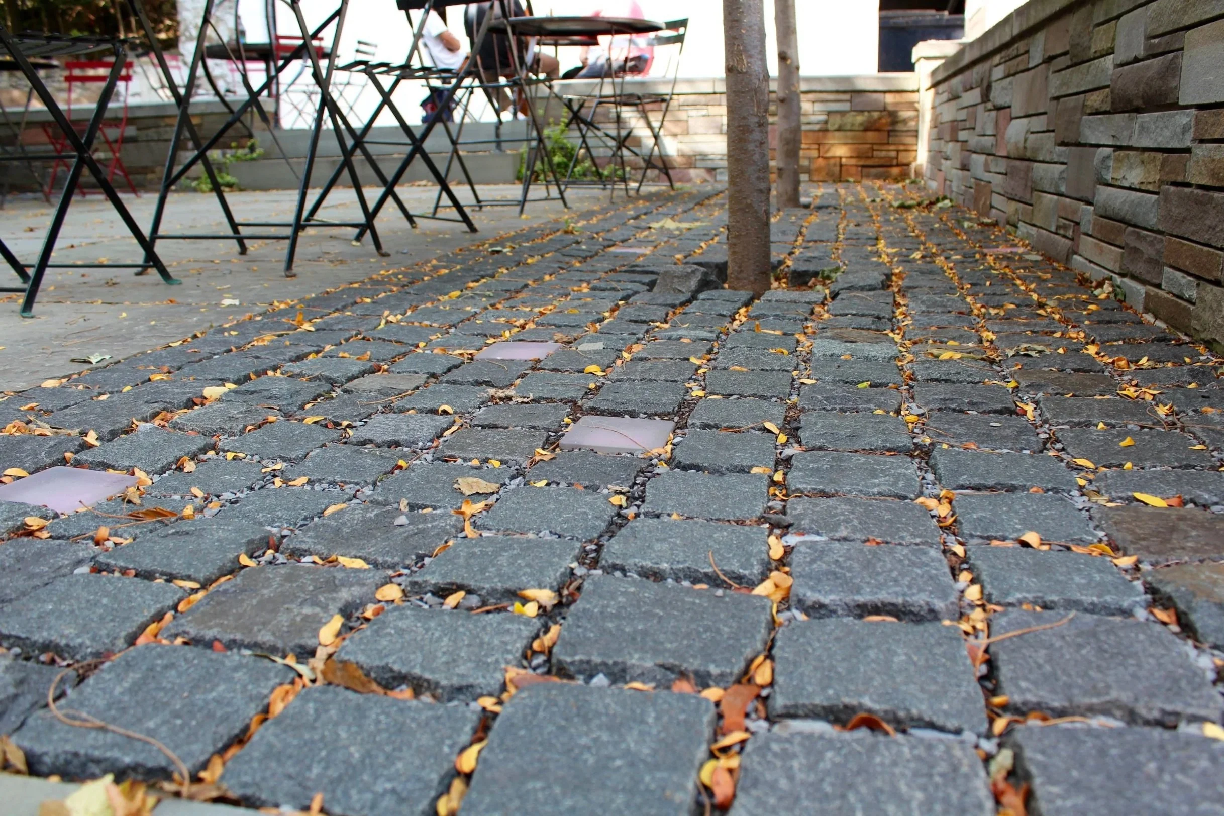 Argos-Site-Photos-2017 - 14.jpg