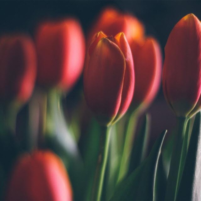 PC: YouVersion Bible verse images
