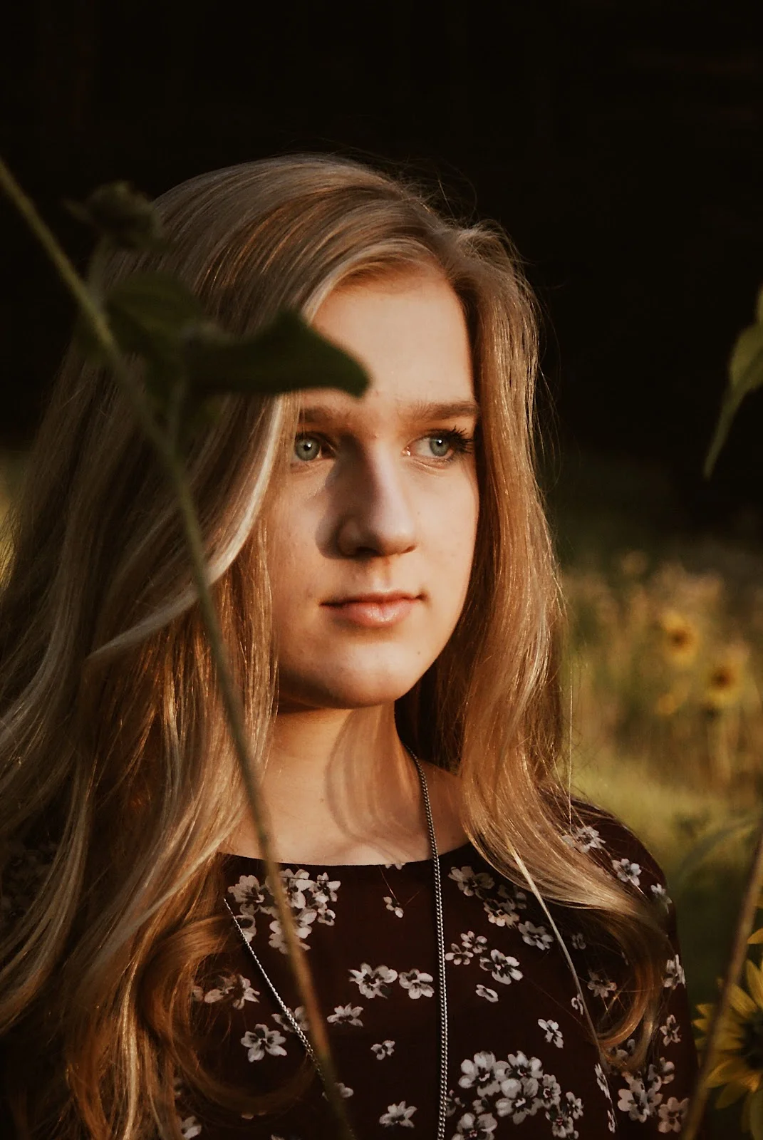 Portrait Sunflowers.jpg