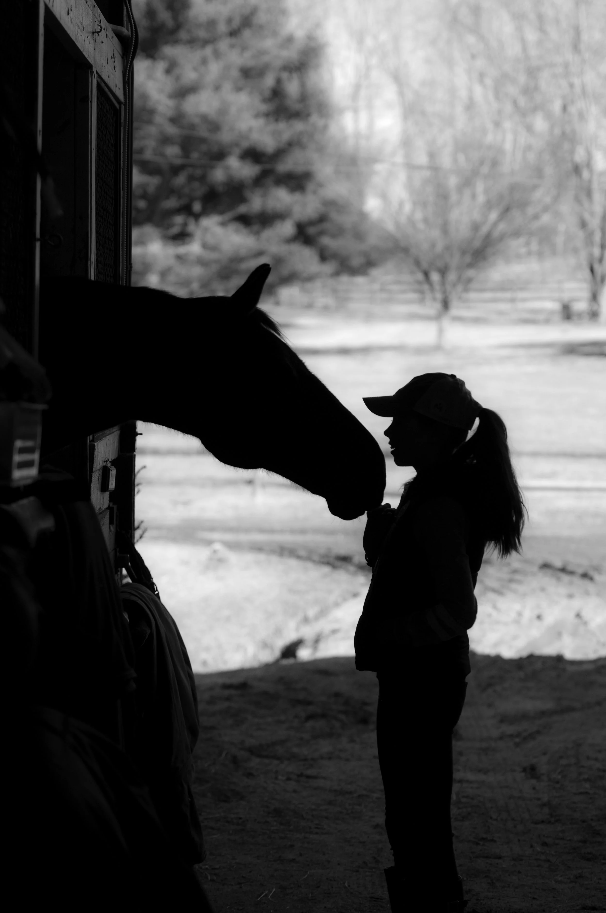 AL.HorseGirl.Silhouette.4bw.jpg