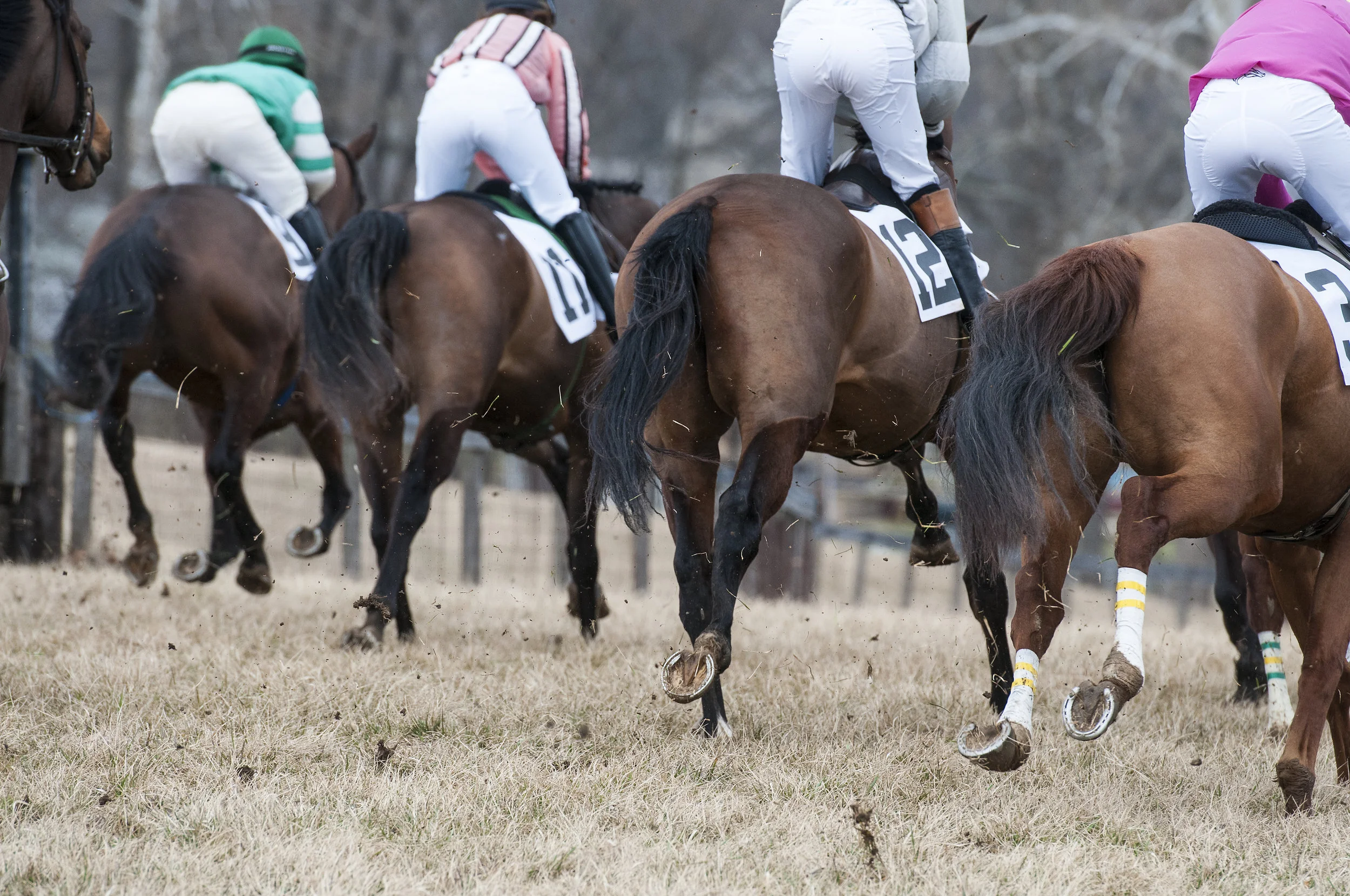 AL.Racehorse.Heels.2.jpg