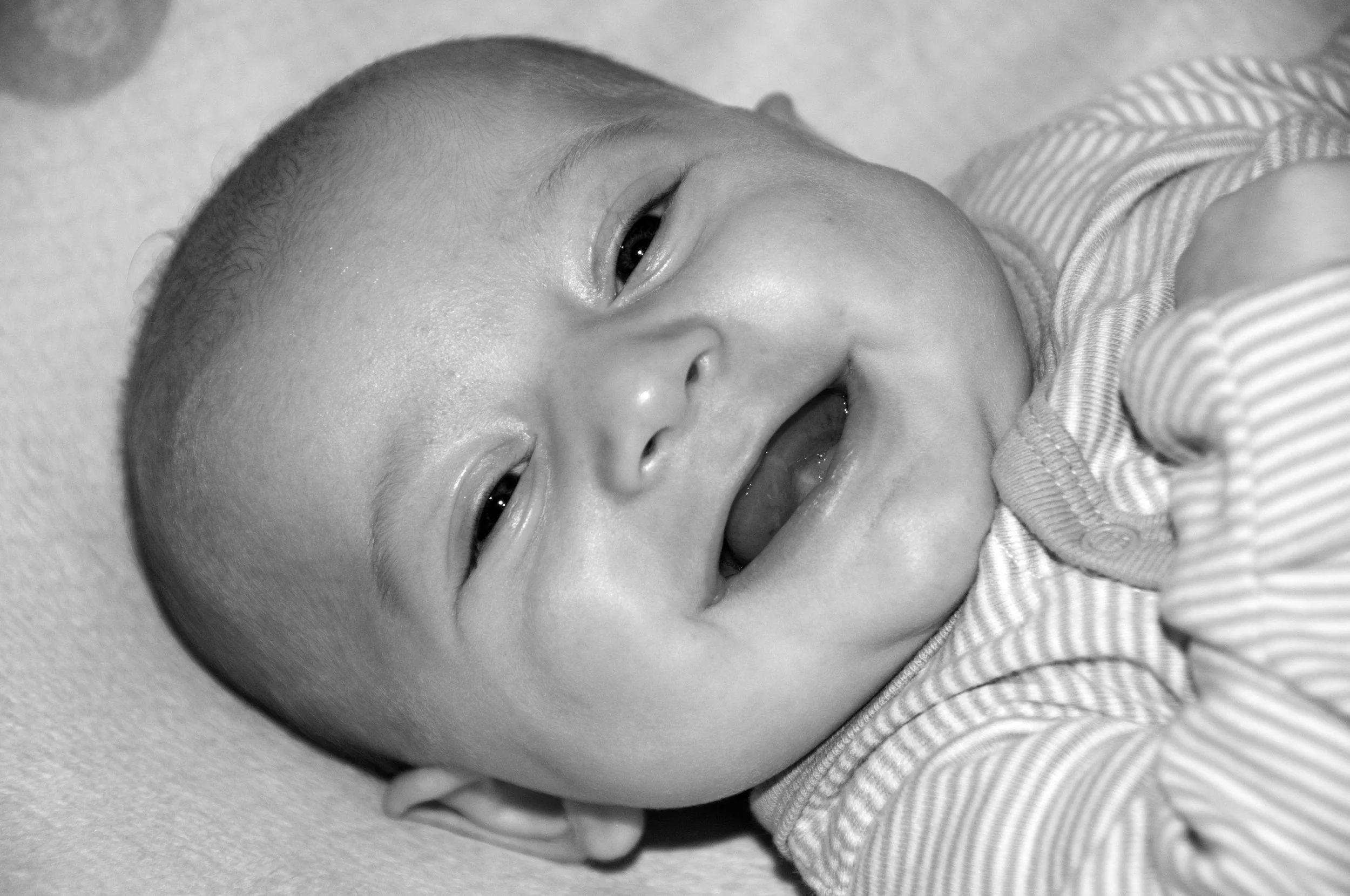 Rex.7.weeks.03bw.jpg