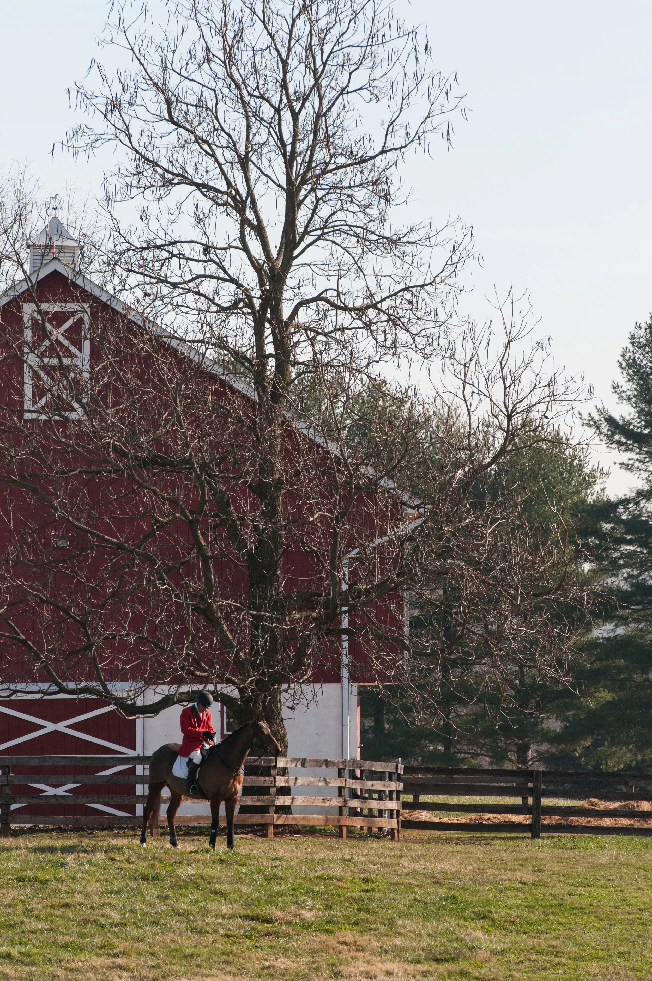 GSVThanksgiving2015_008.jpg