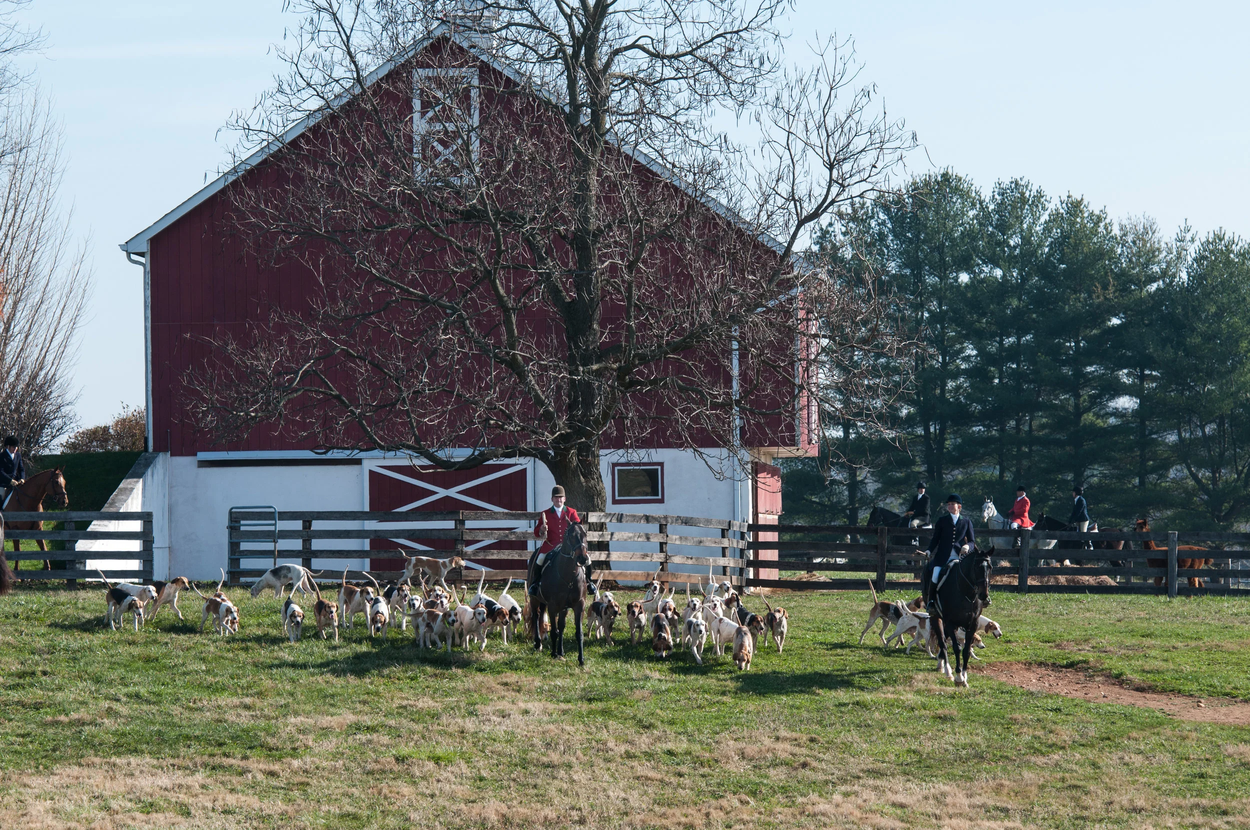 GSVThanksgiving2015_011.jpg