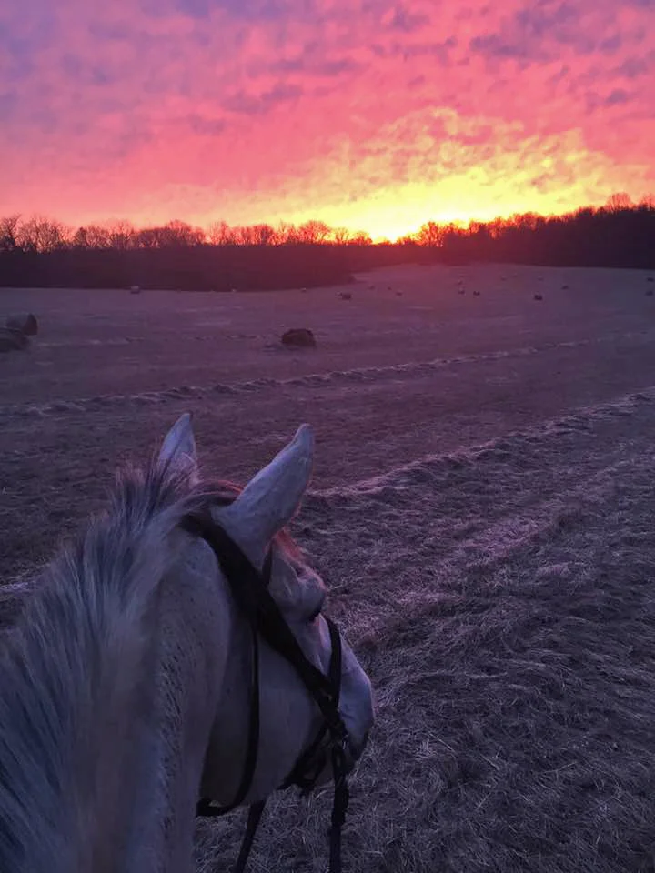 GraySunrise.jpg