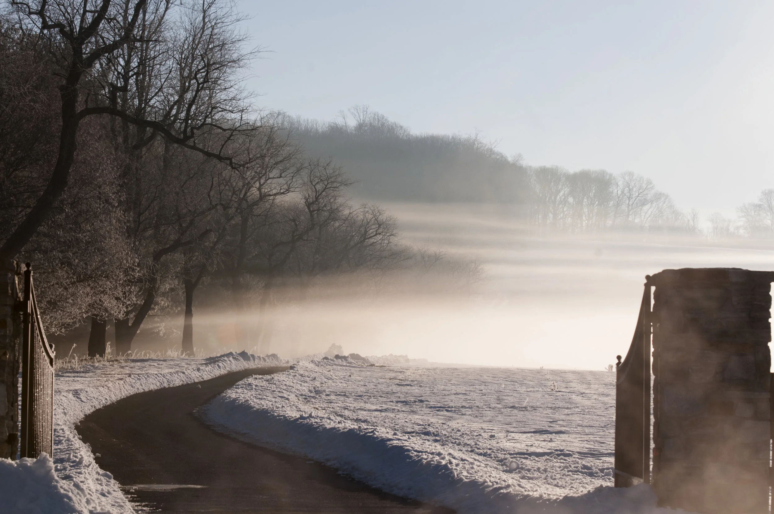 SnowJanuary2016_002.jpg