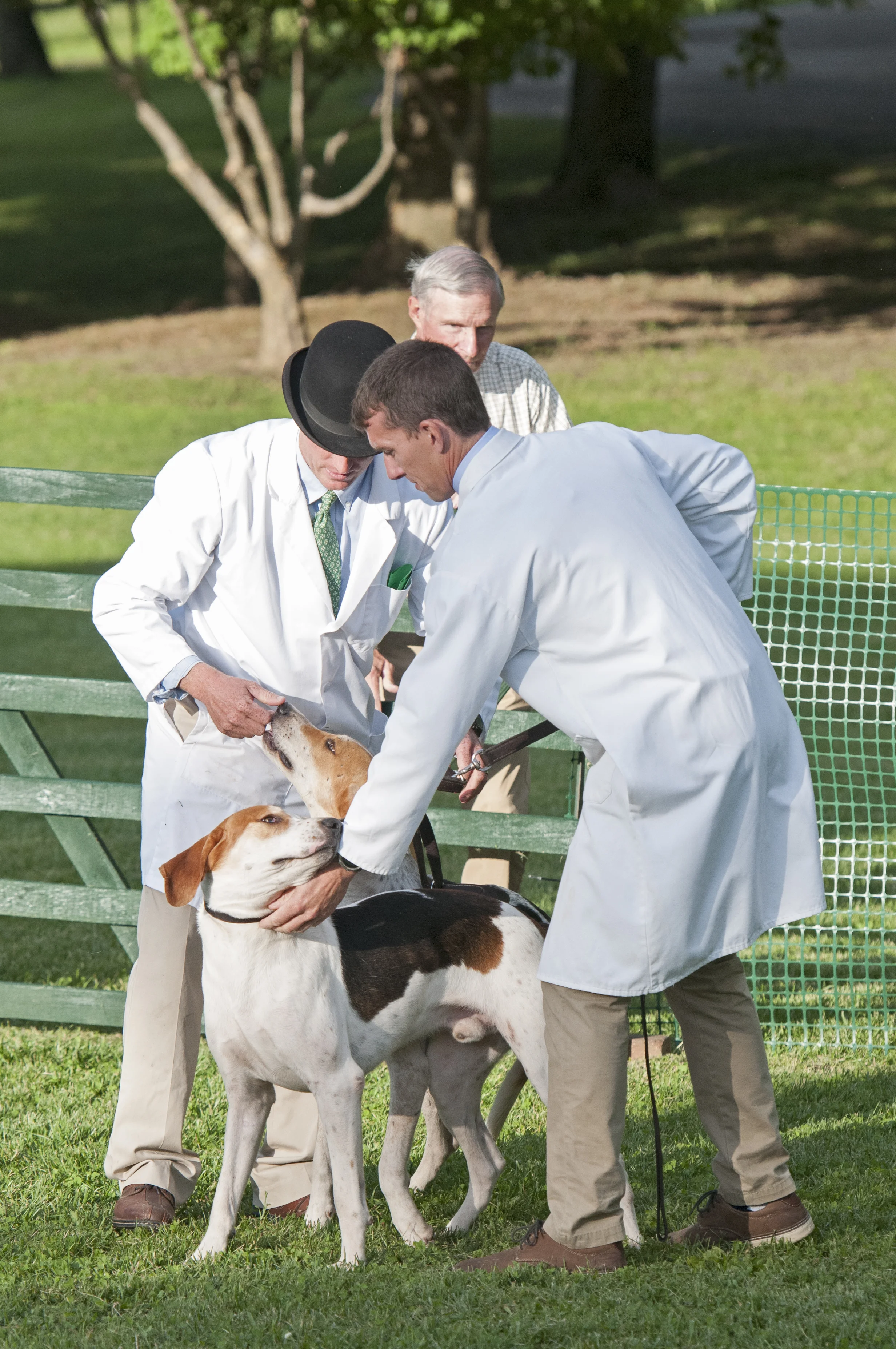 AL_GSVPuppyShow2017_012.jpg