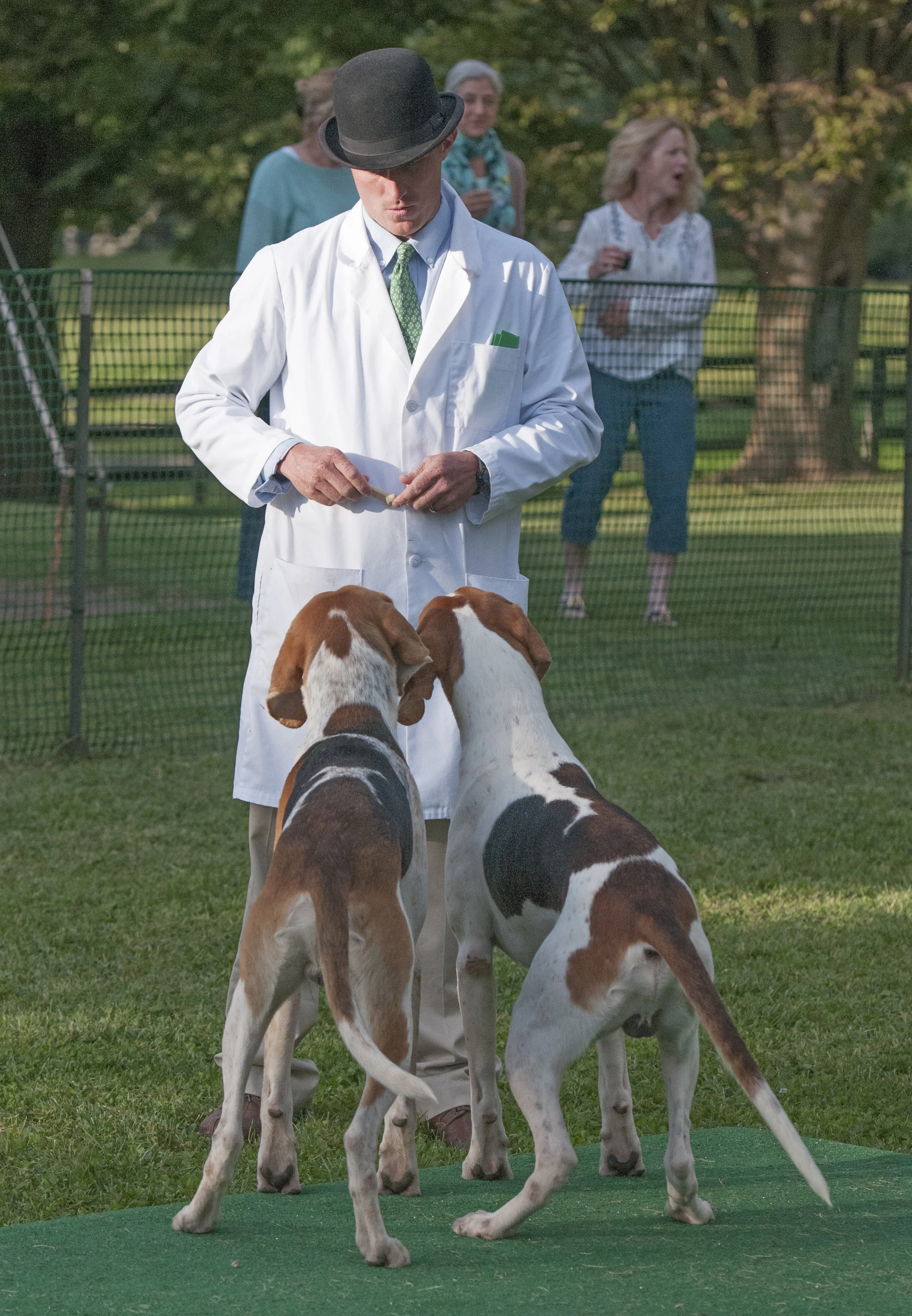 AL_GSVPuppyShow2017_013.jpg