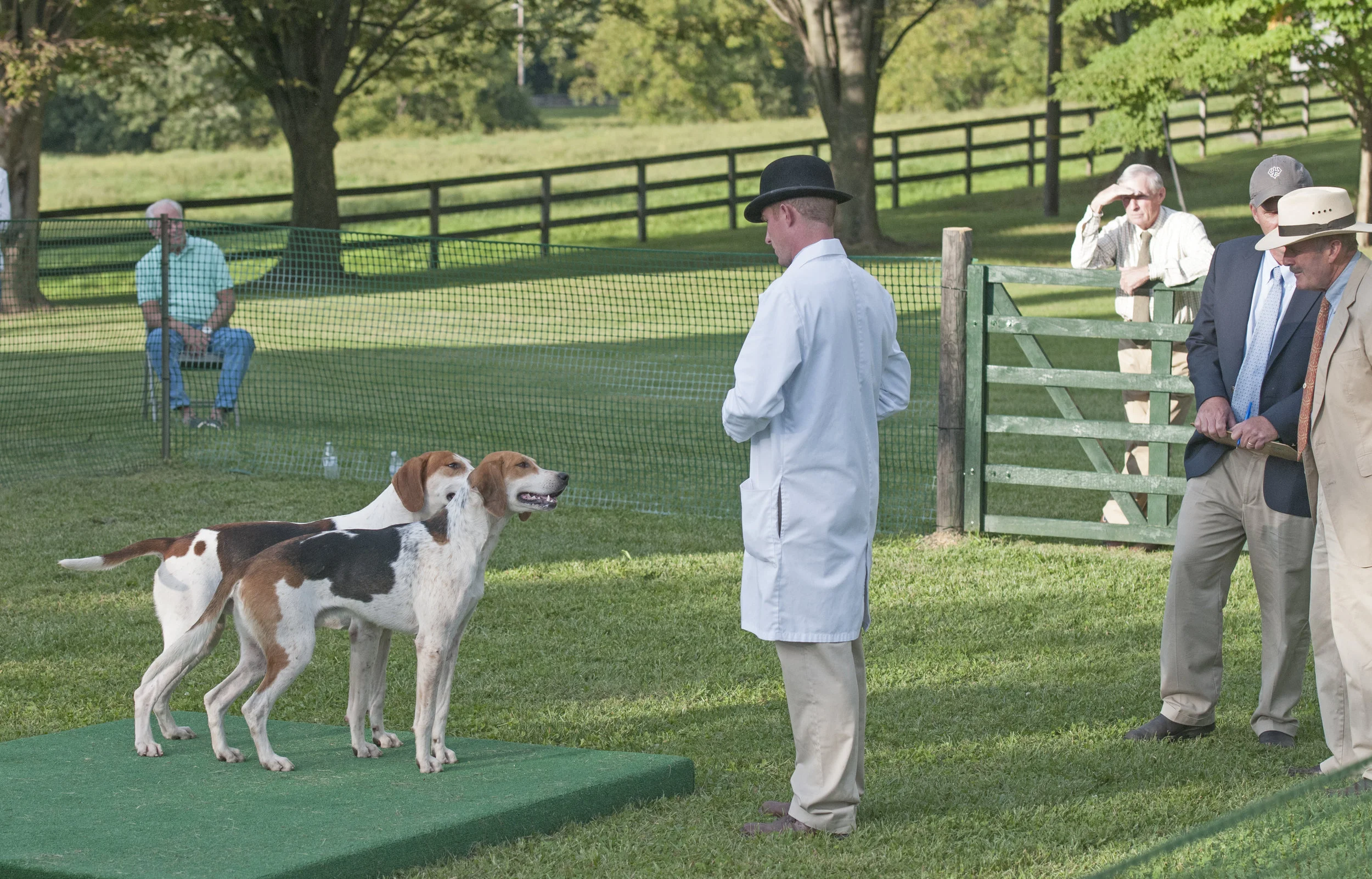 AL_GSVPuppyShow2017_017.jpg
