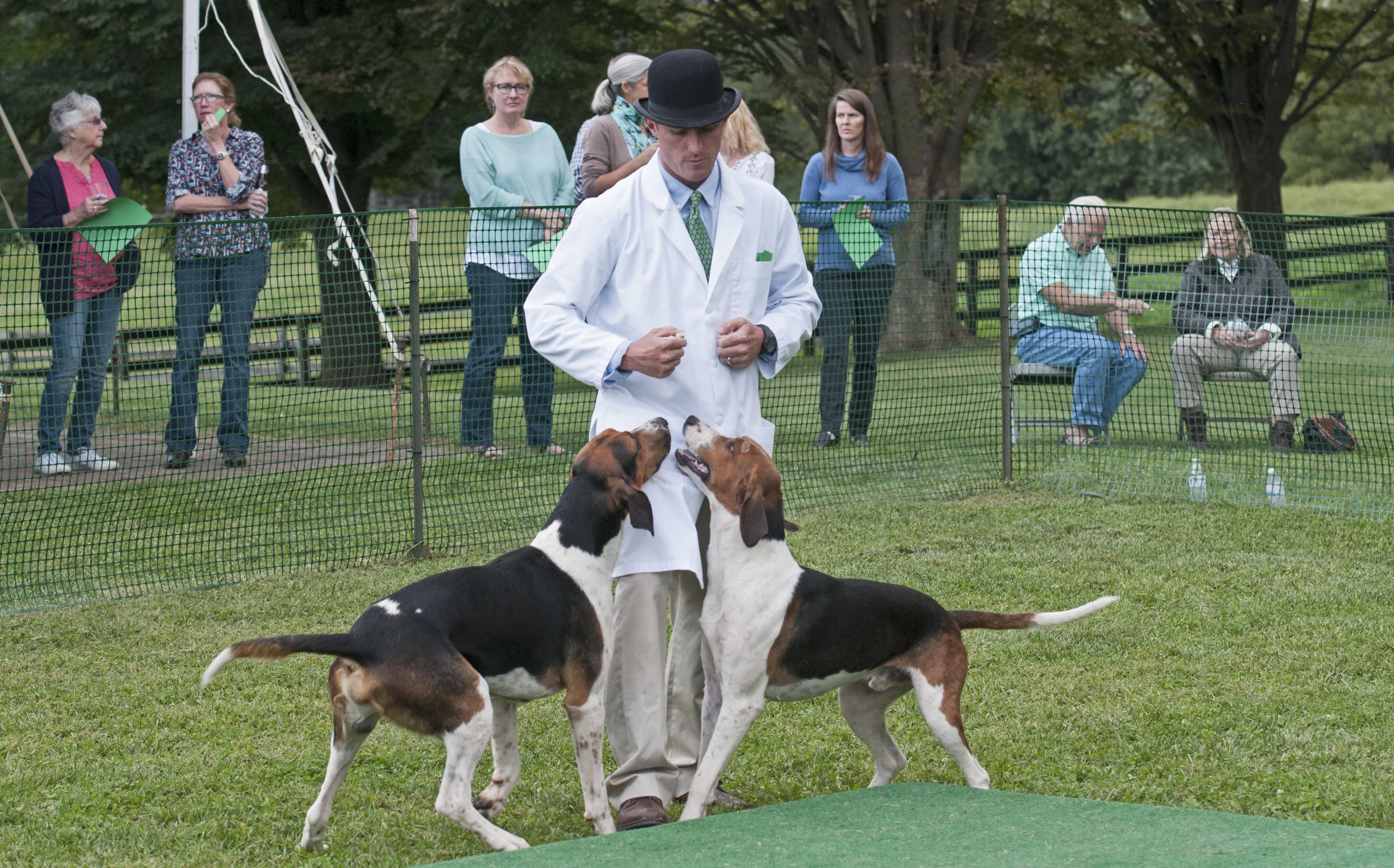 AL_GSVPuppyShow2017_021.jpg