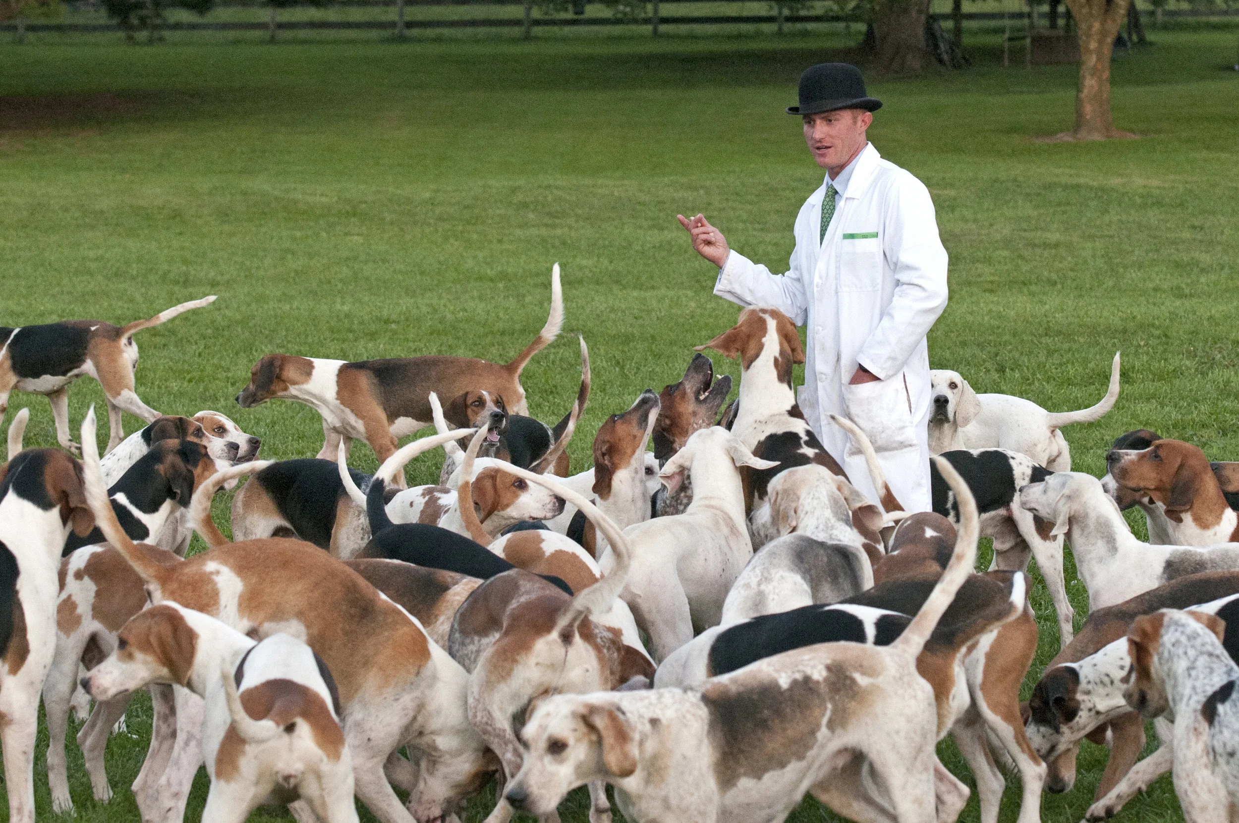 AL_GSVPuppyShow2017_068.jpg