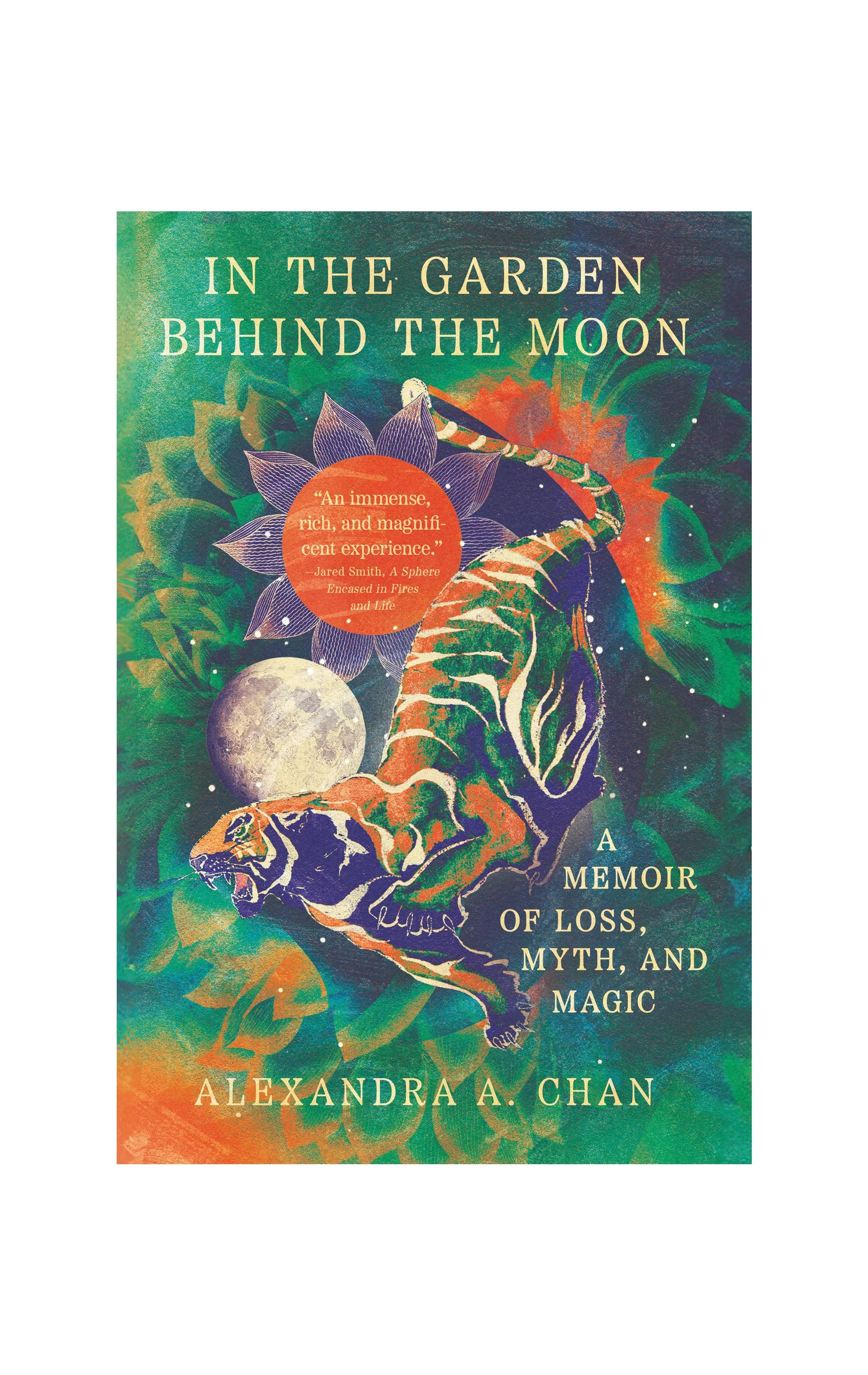 Book cover for webpage.jpg