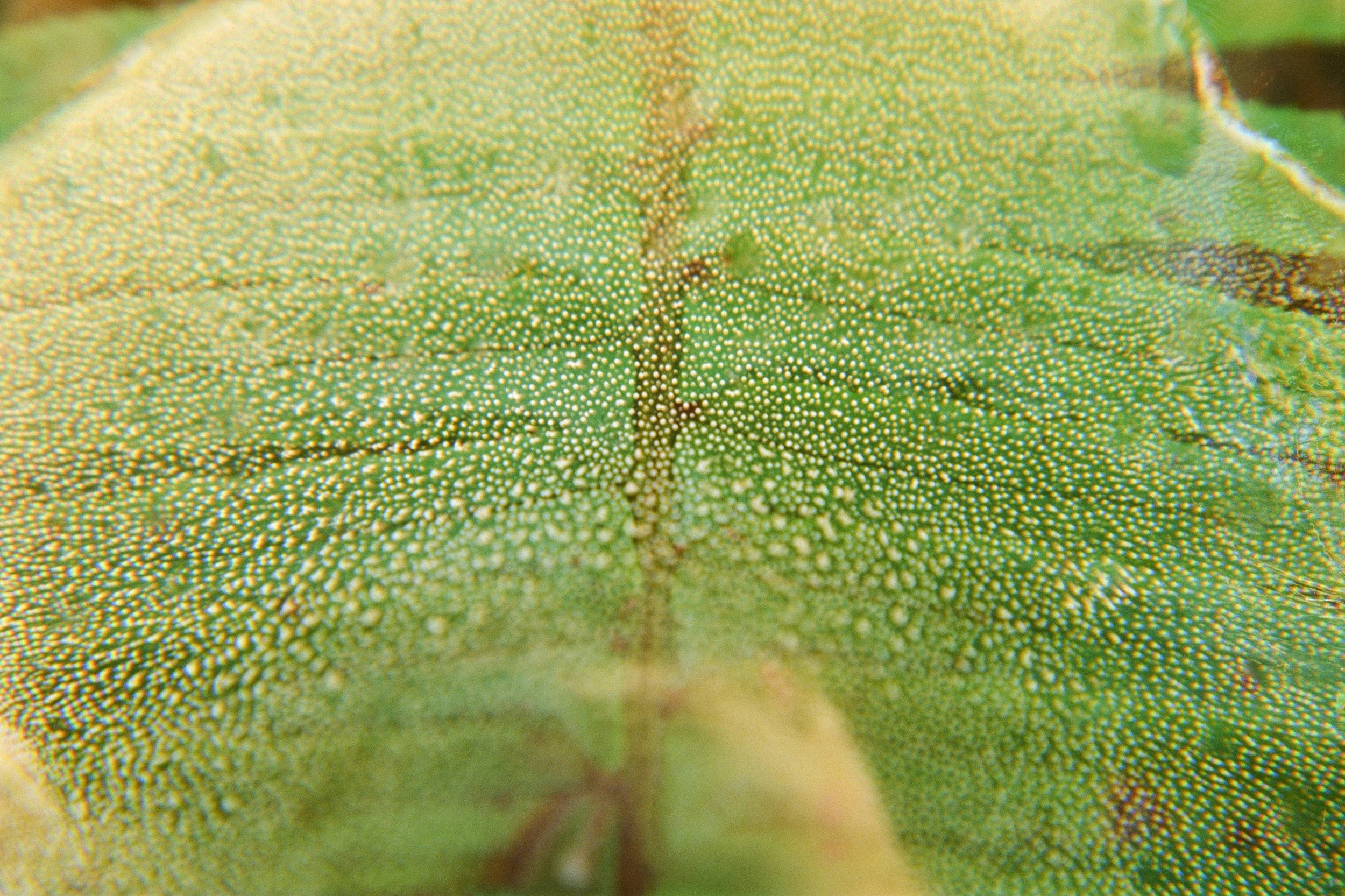 105995010013-2 - 2.jpg