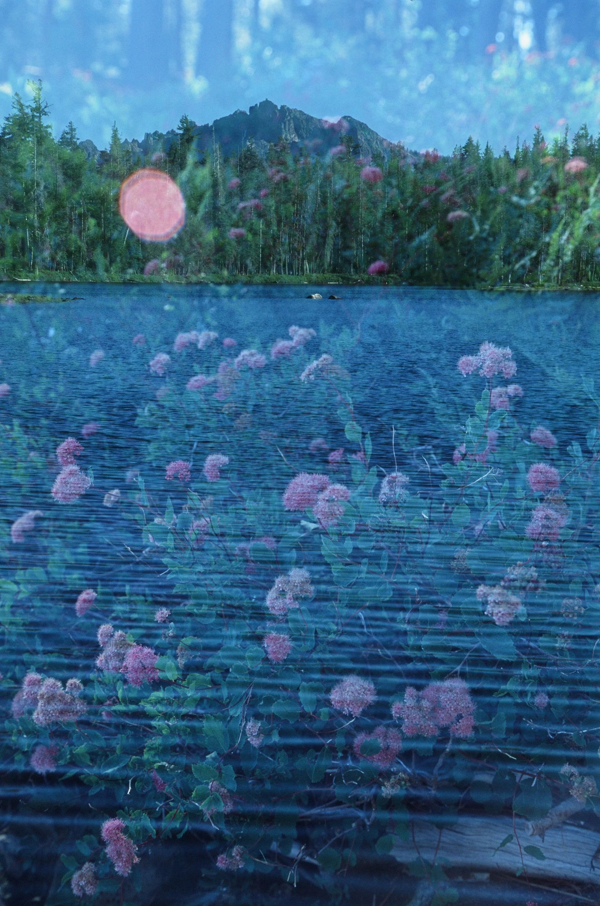 000099240015.jpg