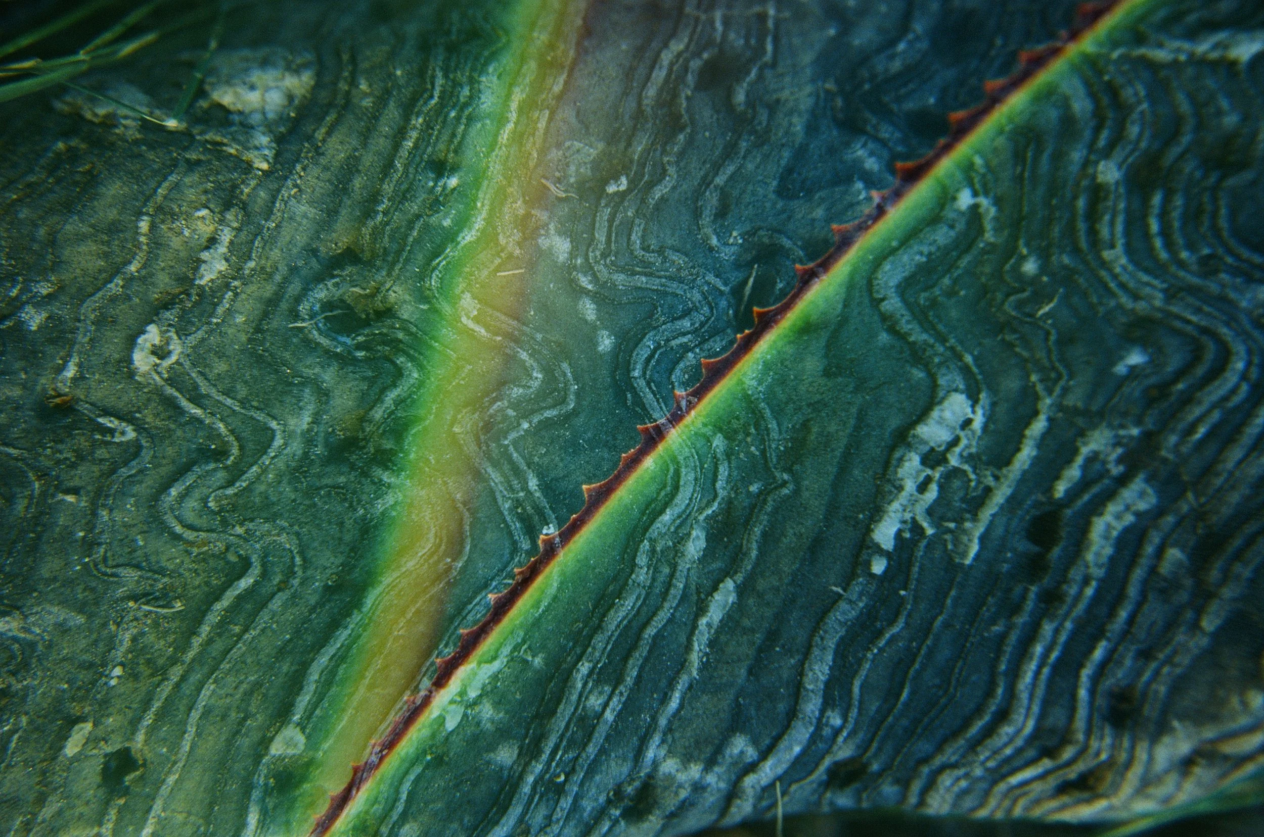 000099260002.jpg