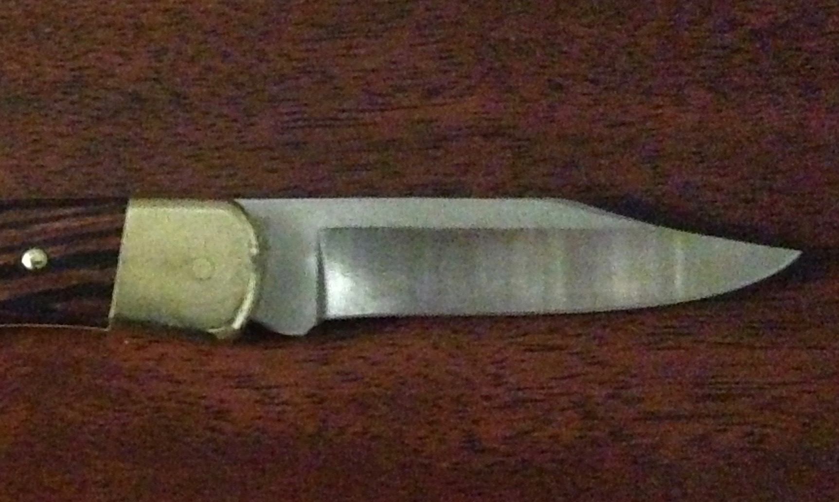 I was able to regrind the blade and restore the tip, although it lost a little length.