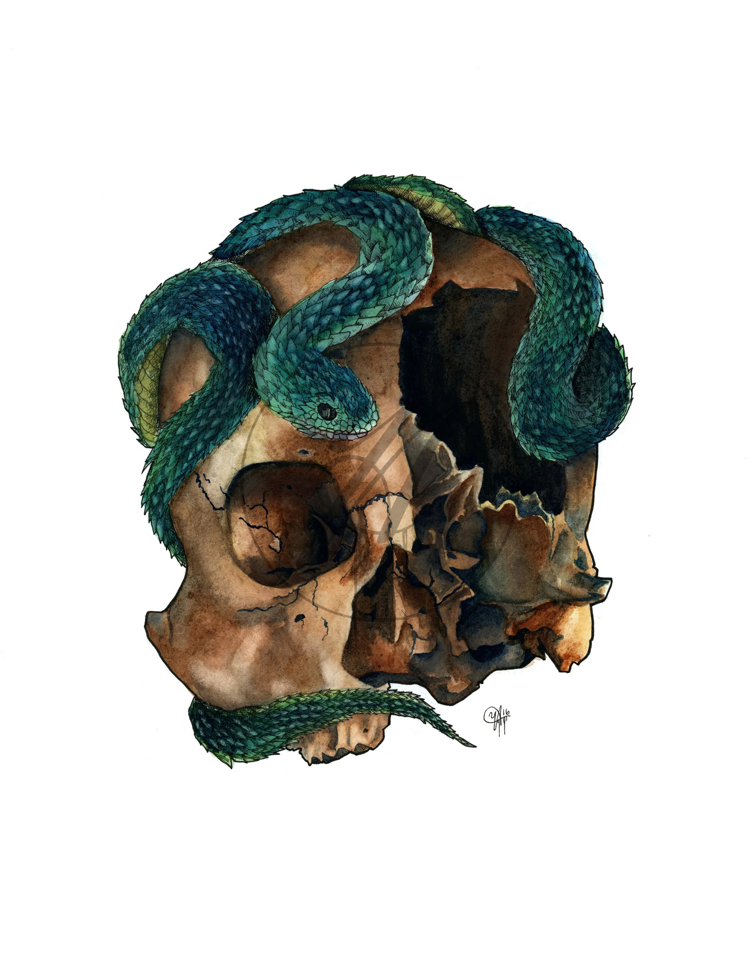 Skull_Snake_RGB_Web.jpg