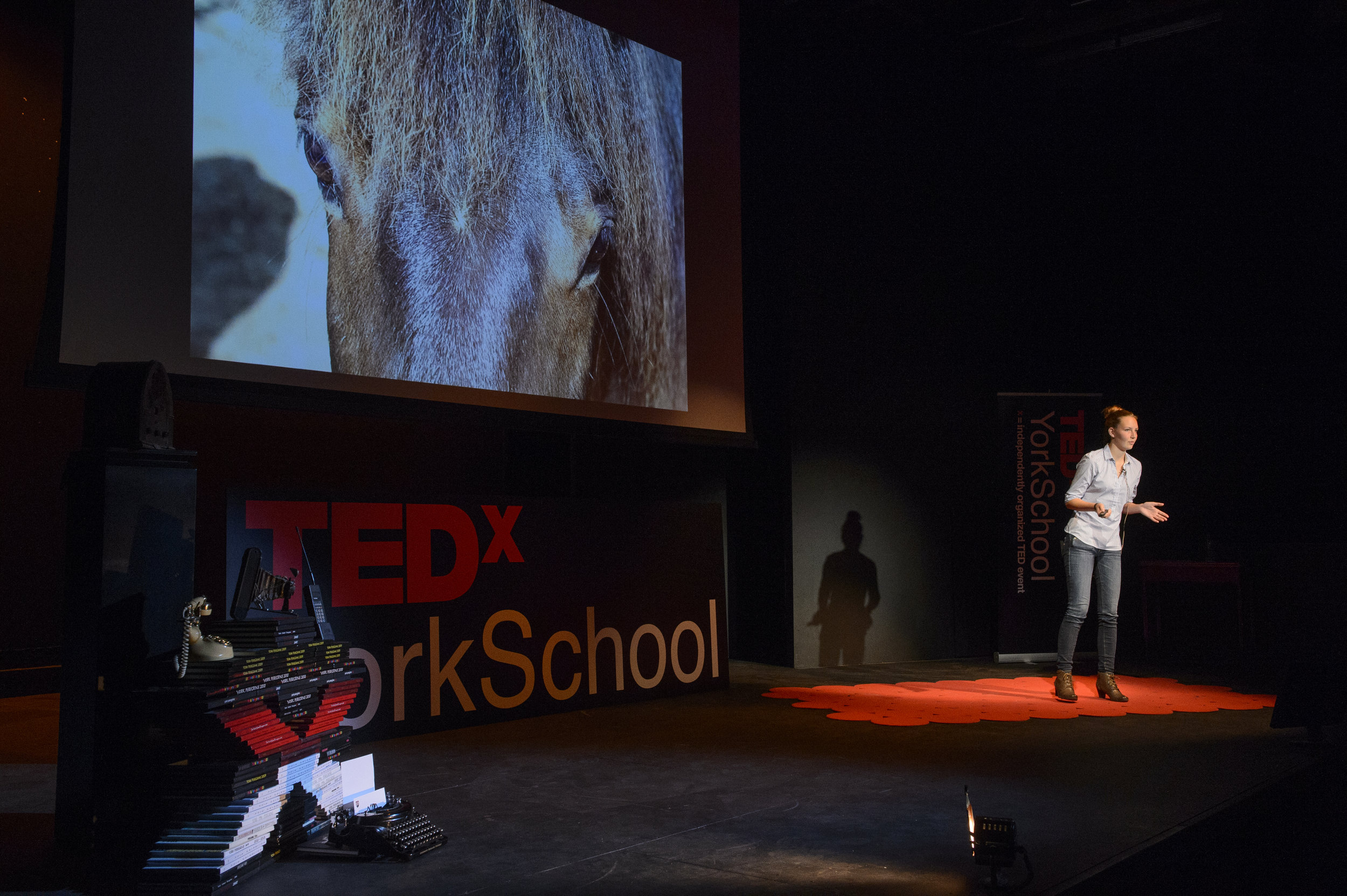 TEDxYorkSchool2015-053.jpg