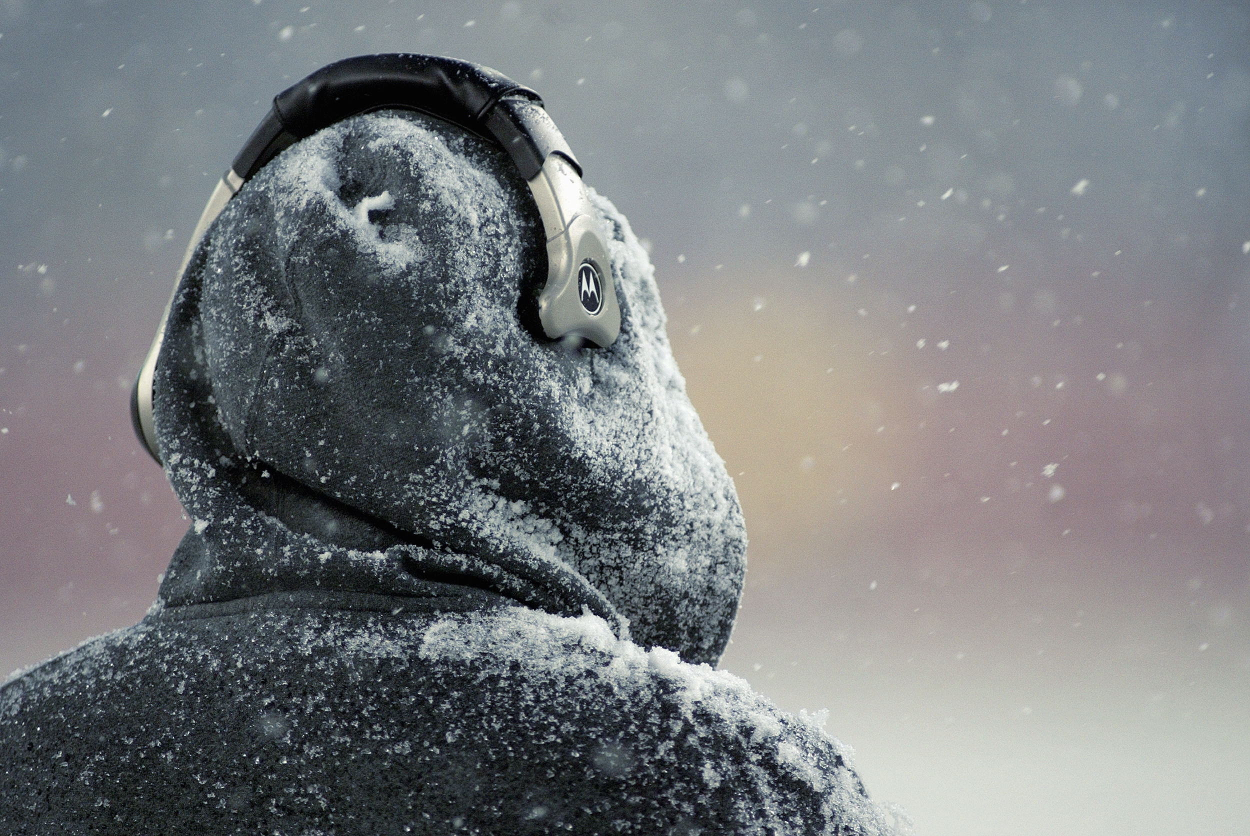 nike 2018 belichick hood