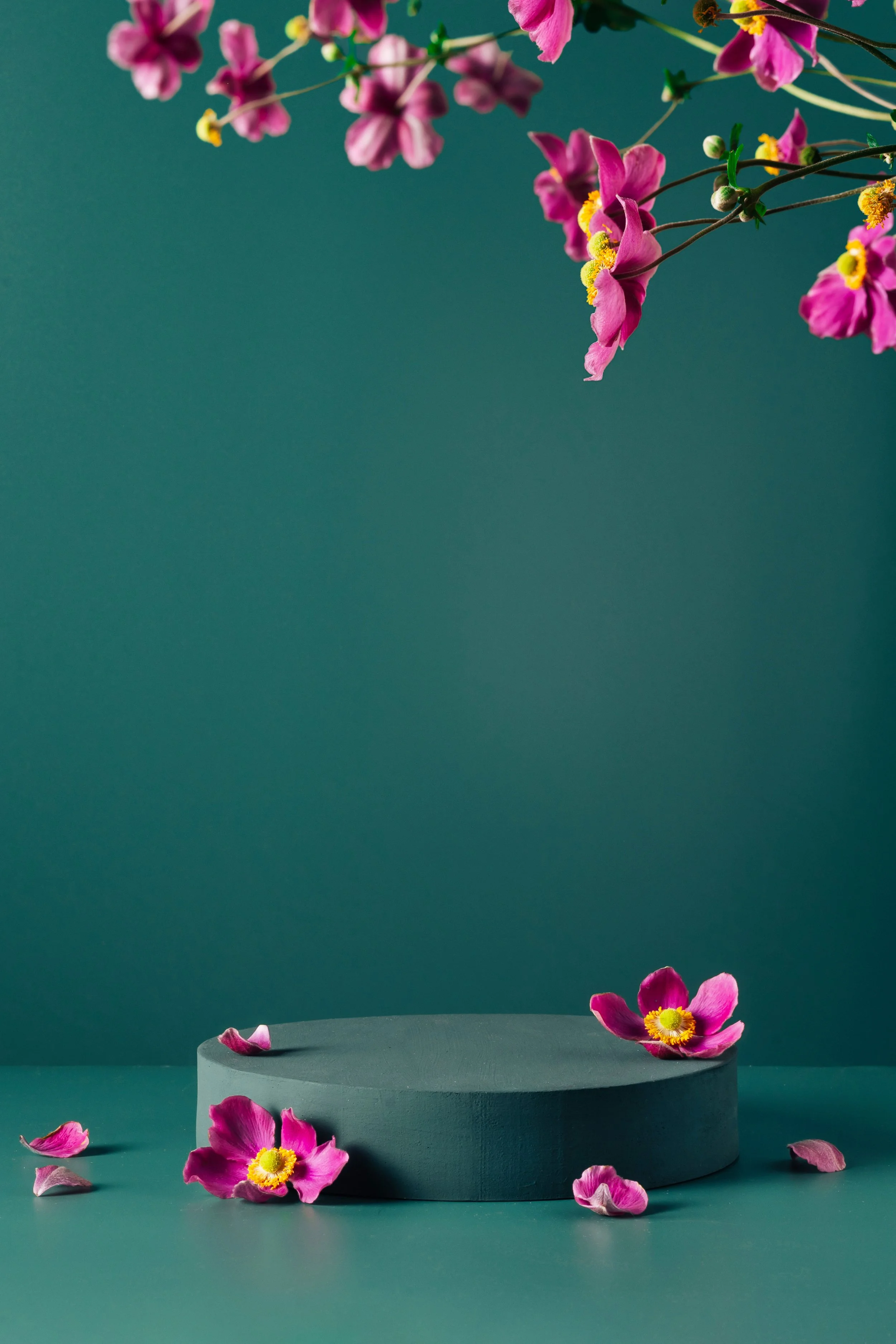 Podium_And_Flowers_On_Dark_Teal_original_1301581.jpg